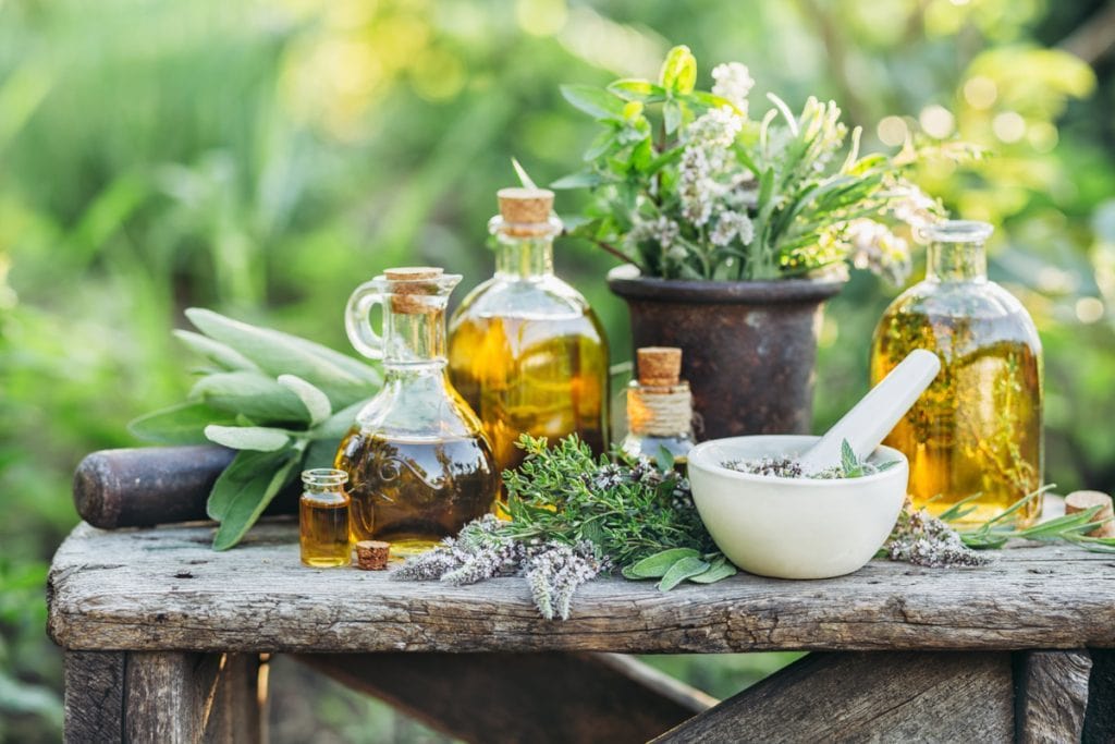5 Best Essential Oils for Gardening: A Natural Way to Keep Your Plants Thriving