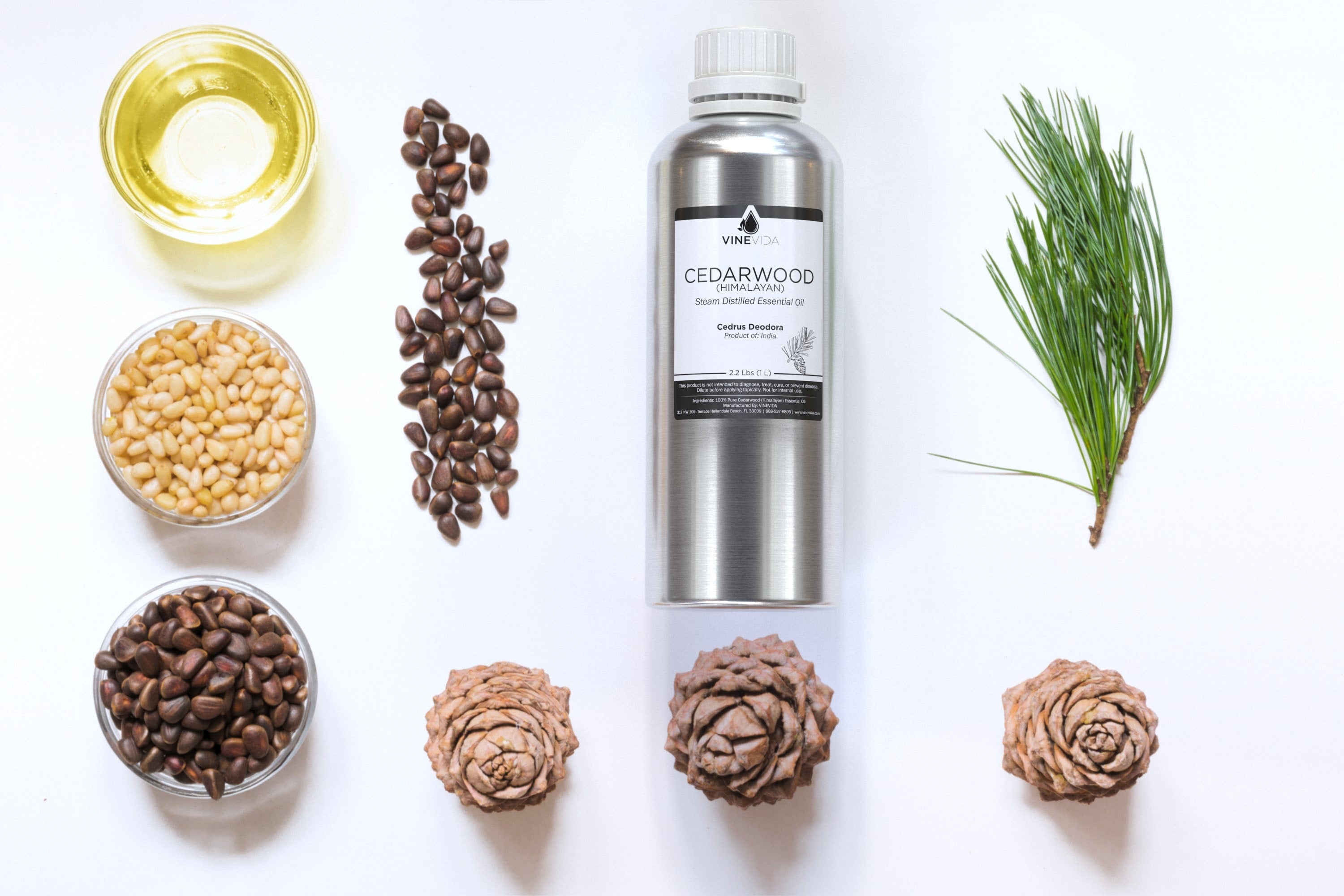 Bridgerton’s Lady Whistledown Comes to VINEVIDA