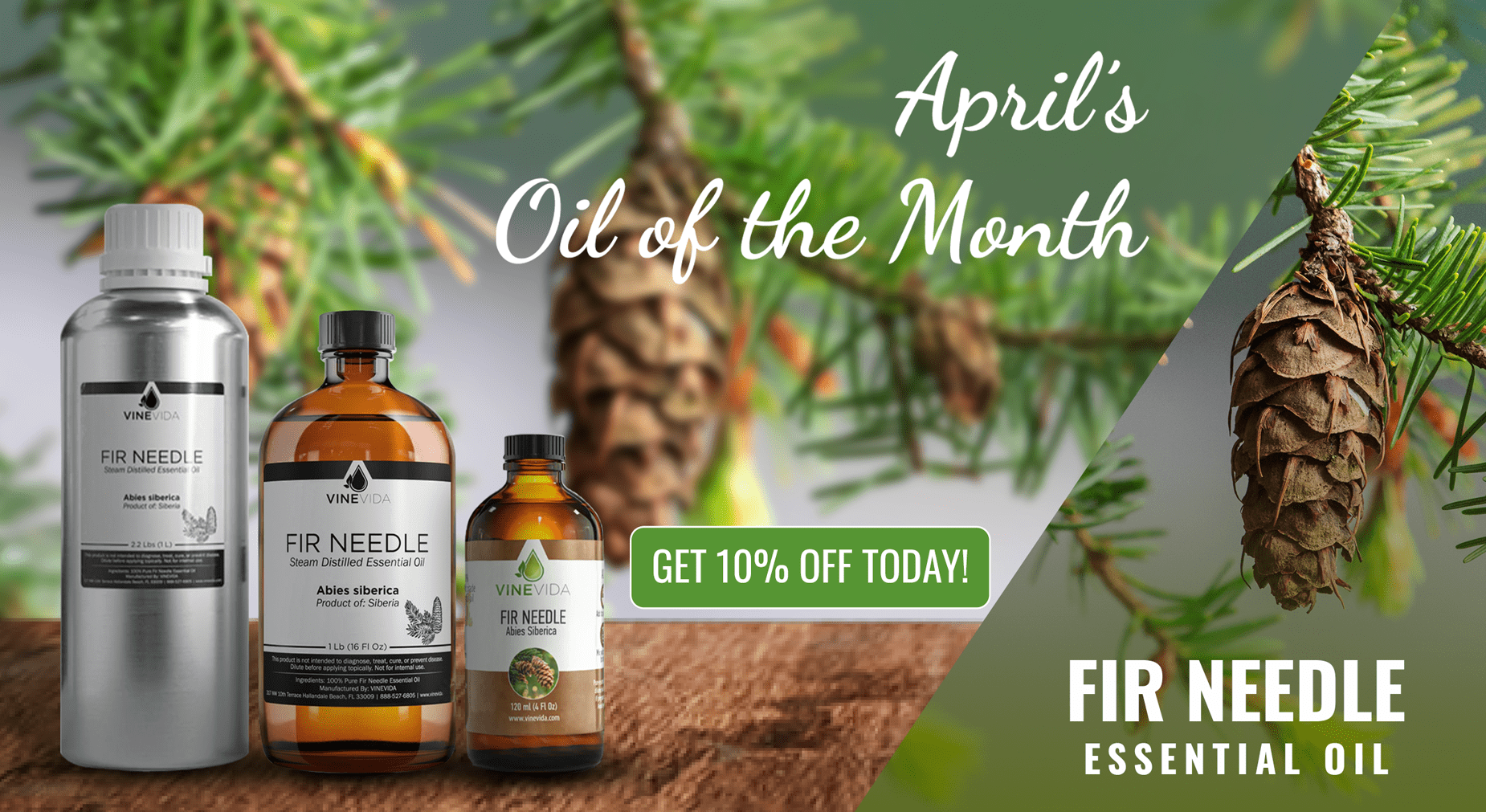 April's Oil of the Month: Fir Needle Essential Oil