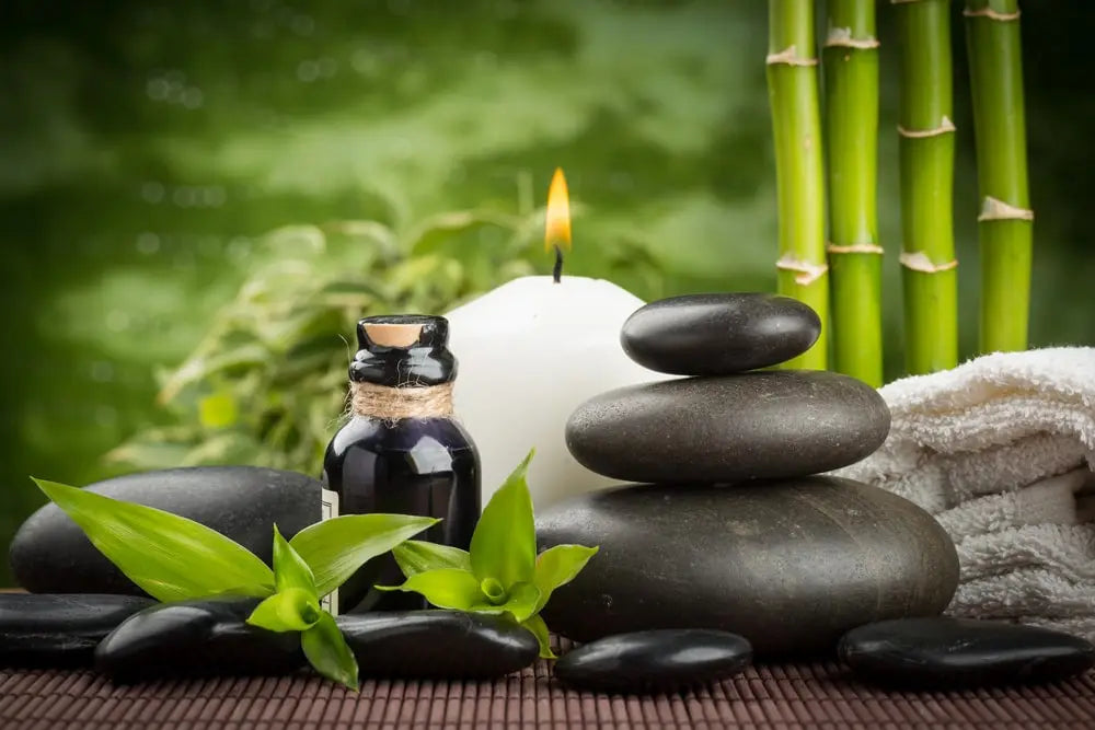 Bamboo Garden - Fragrance Oil Of The Week