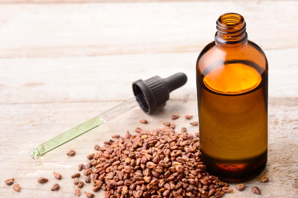 What are the Best Carrier Oils for Wound Healing and Their Uses