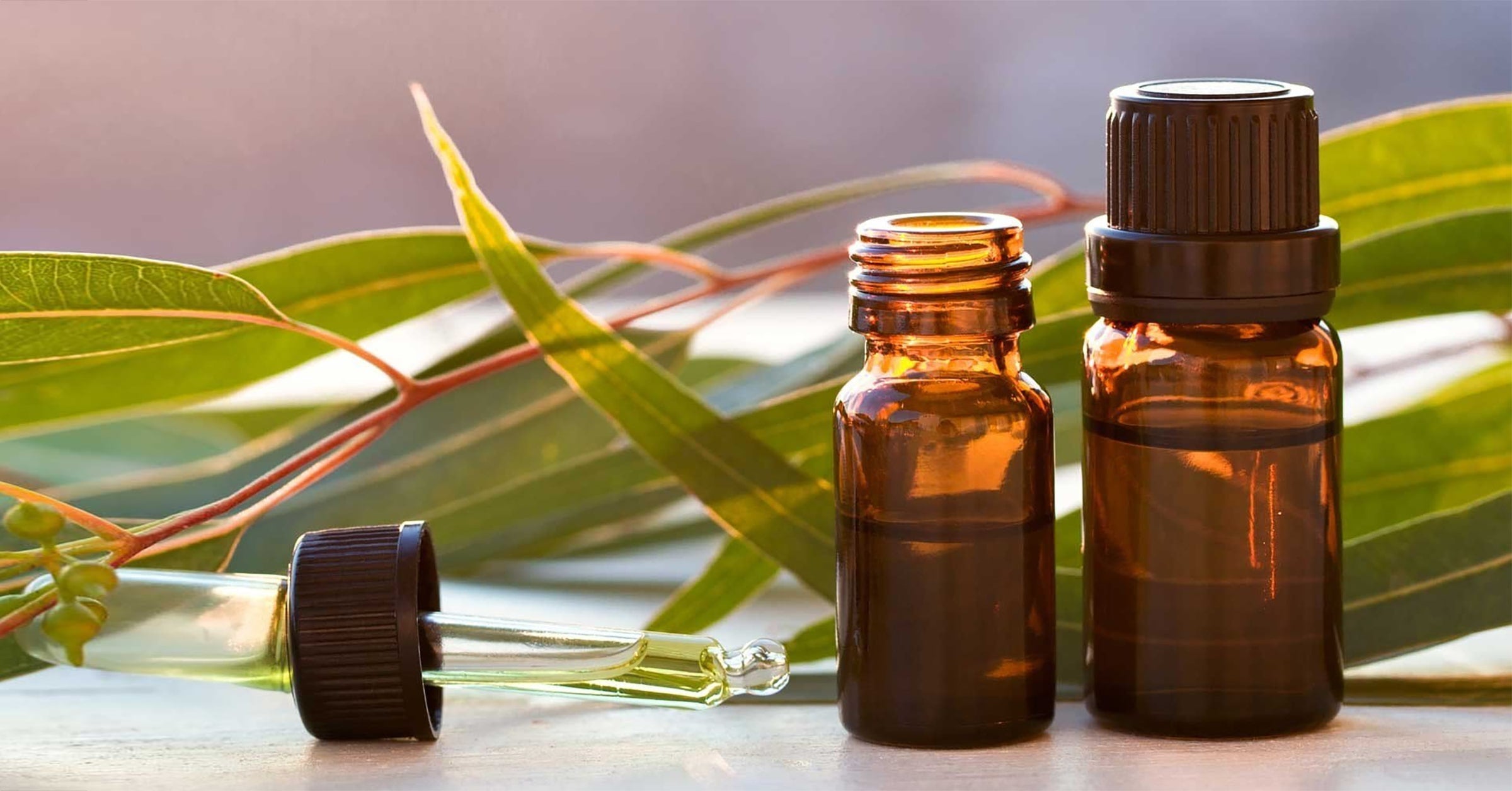 Best Essential Oil for Stuffy Nose
