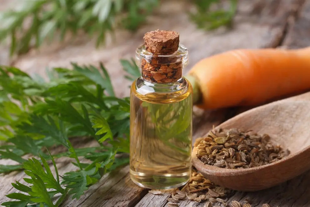 Unlock the Power of Carrot Seed Oil SPF for Beautiful, Protected Skin