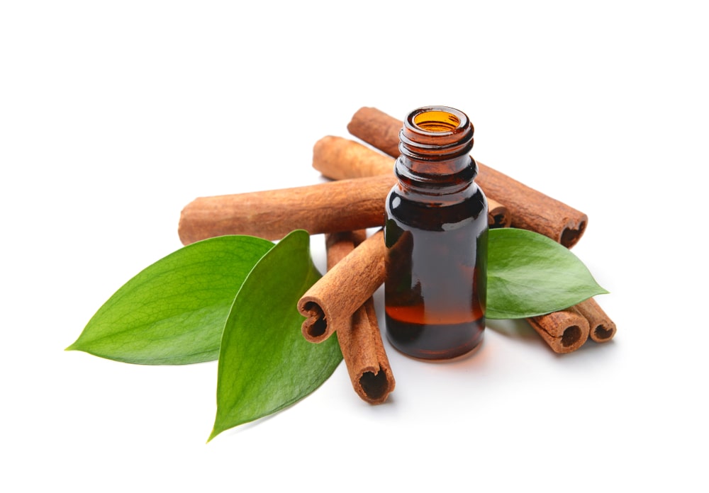 Cinnamon Leaf Vs Cinnamon Bark Essential Oil