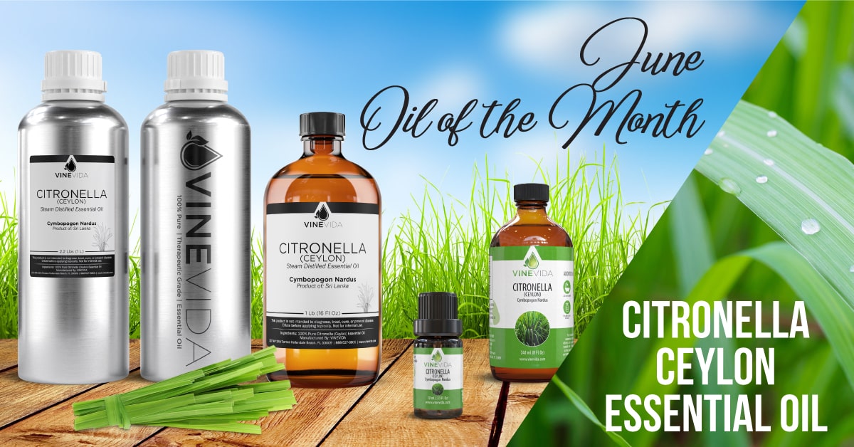 June's Oil of the Month: Citronella Essential Oil