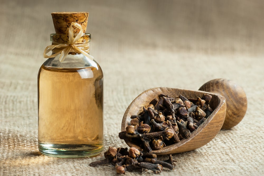 A Complete Guide On Clove Essential Oil