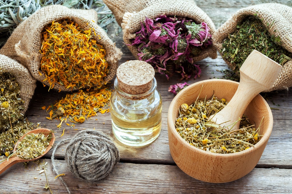 Which Essential Oils are Good for Respiratory Support