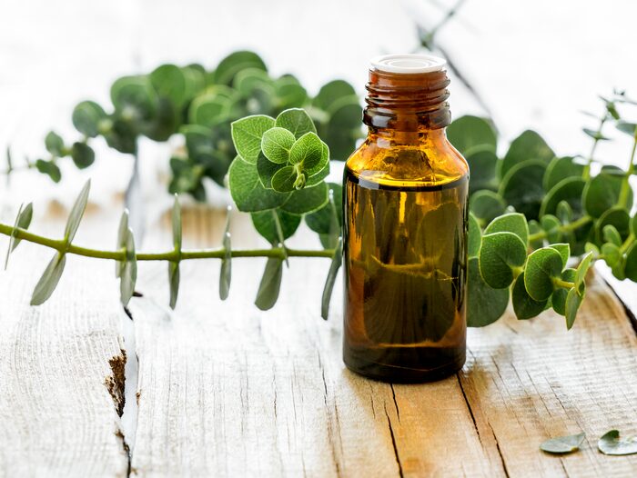 How to Use Eucalyptus Oil for Cough?