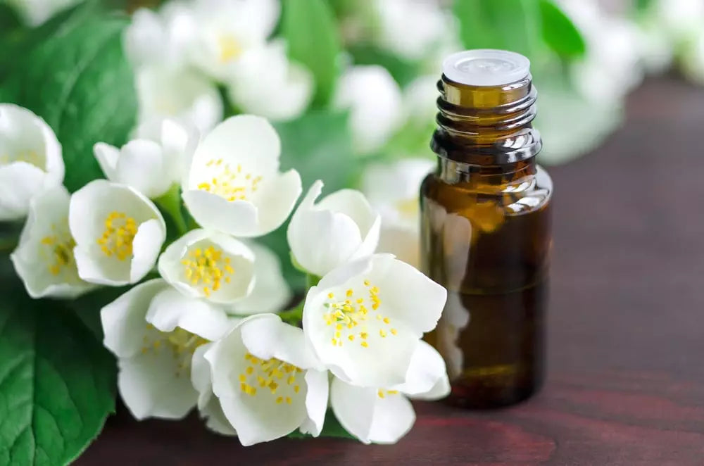 Top 7 Jasmine Essential Oil Uses And Benefits