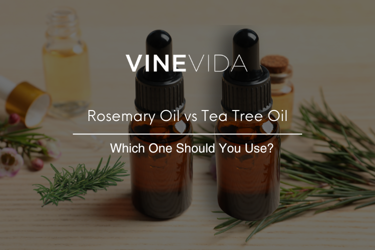 Rosemary Oil vs Tea Tree Oil: Which One Should You Use?