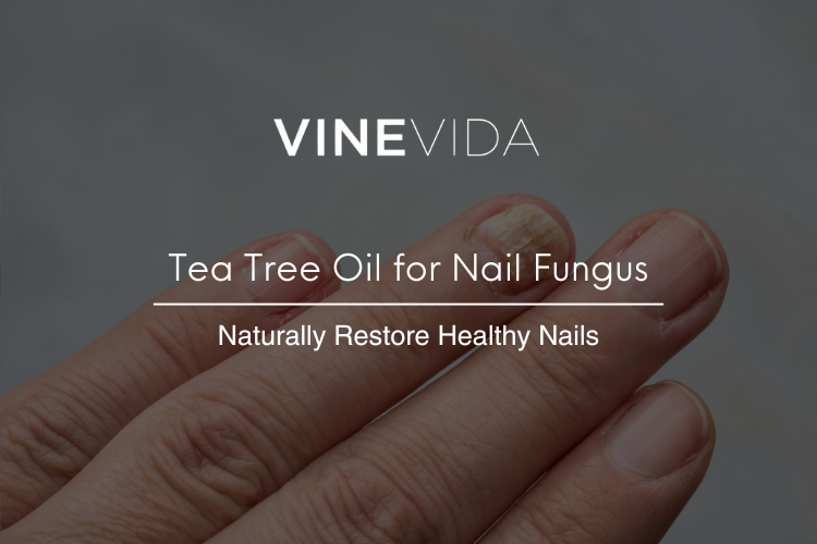Tea Tree Oil for Nail Fungus: 4 Proven Steps to Naturally Restore Healthy Nails