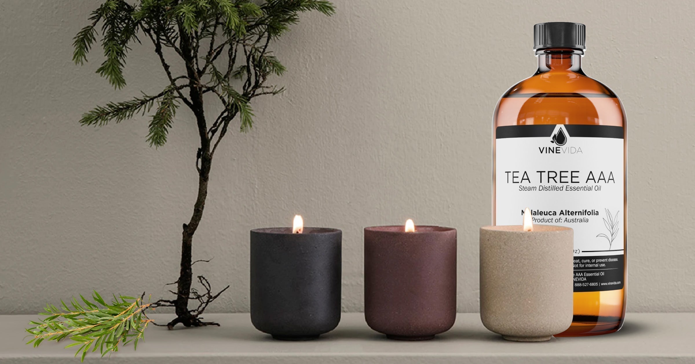 Tea Tree Oil for Toothache