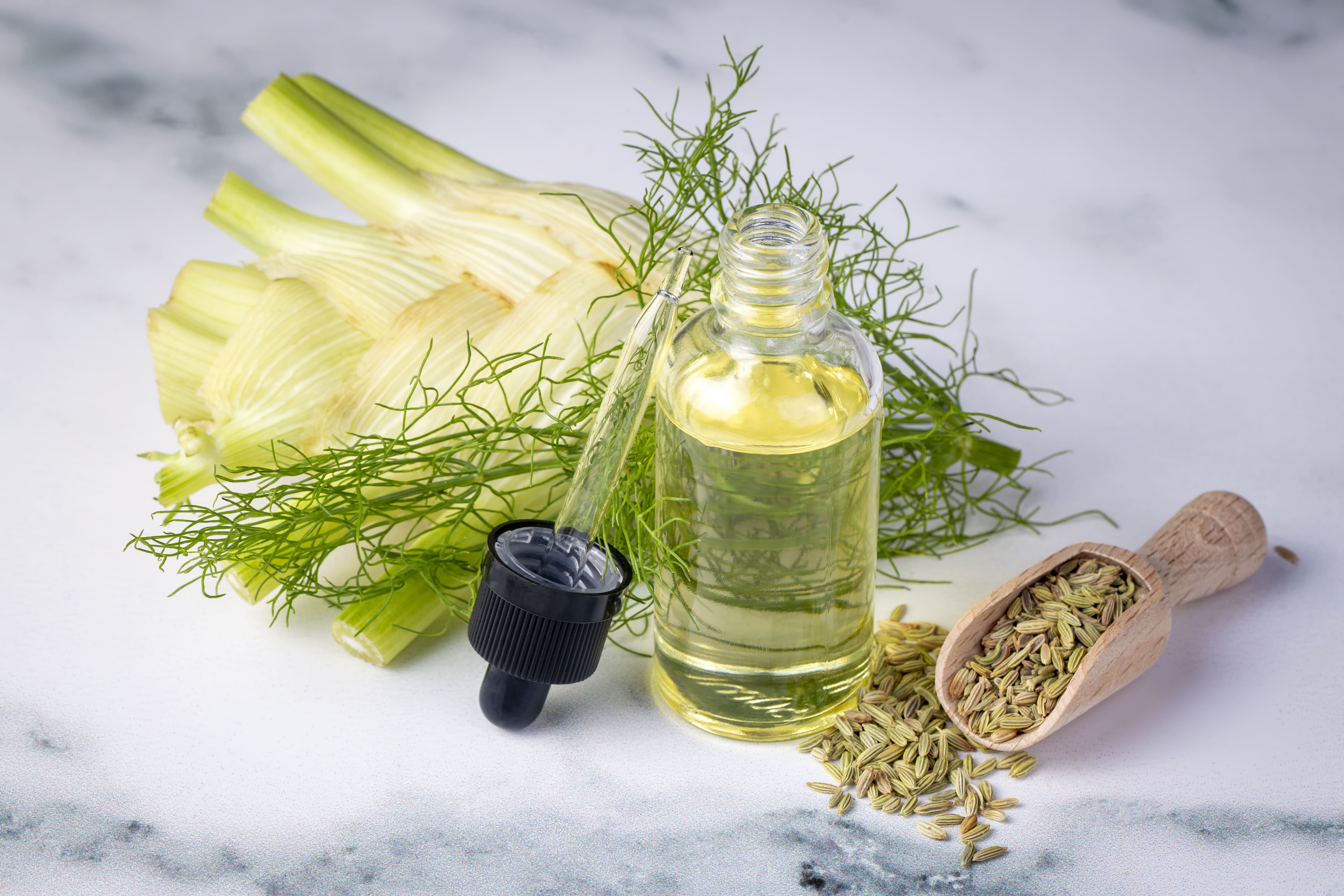 What is Fennel Essential Oil Good for?