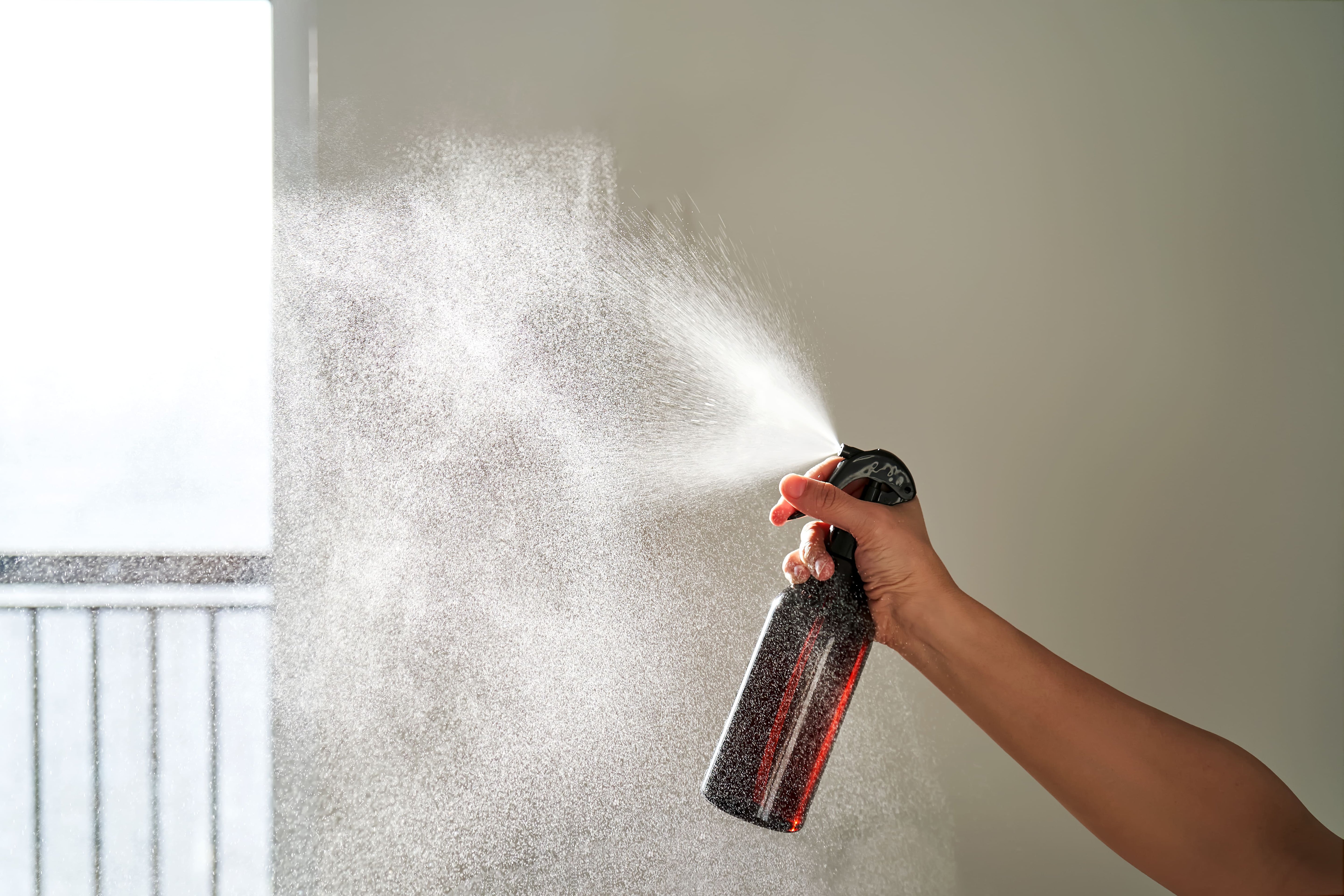 How to Make Your Home Safe from Rodents Without Pesticides