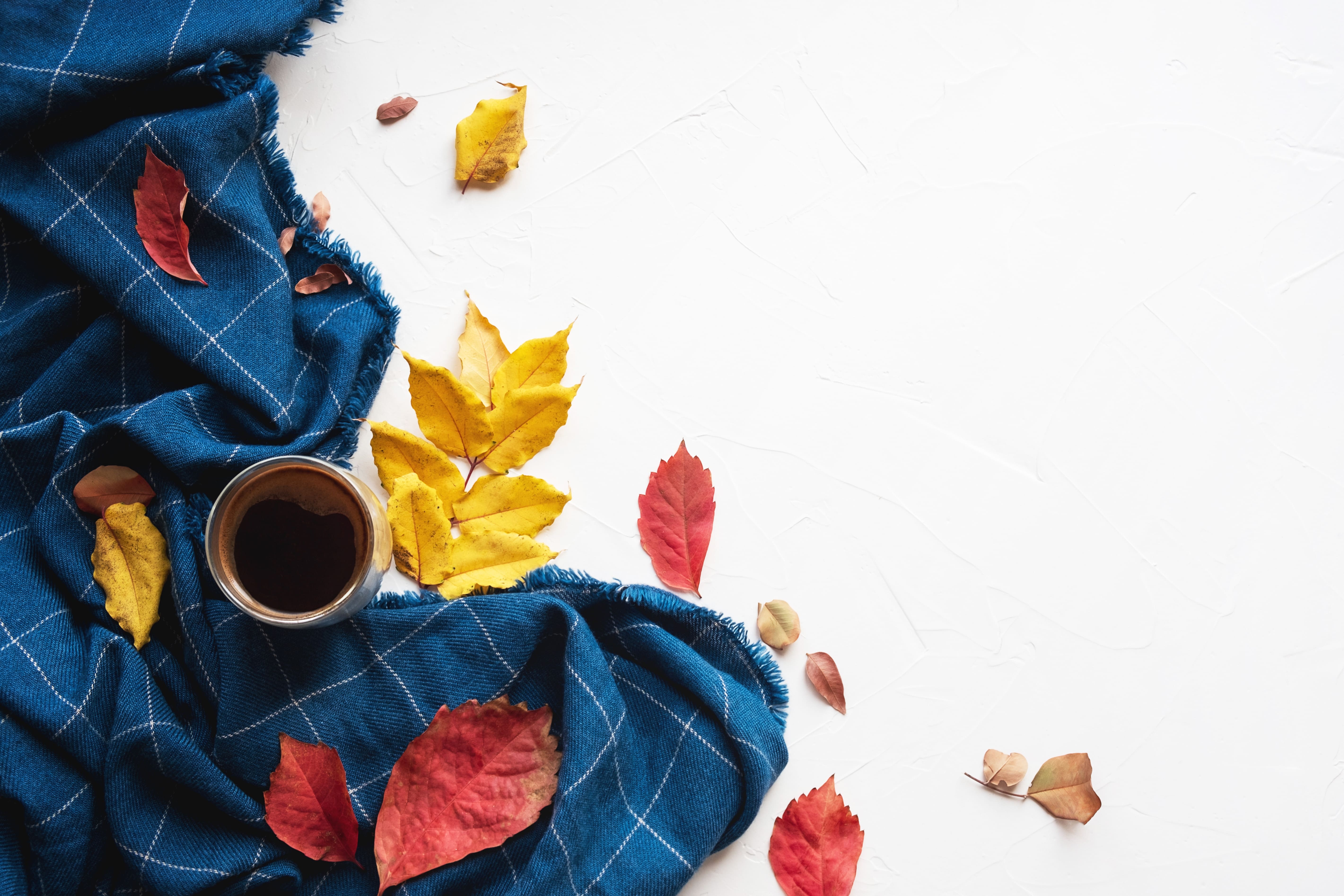 Scenting Early Autumn: Fall Diffuser Blends