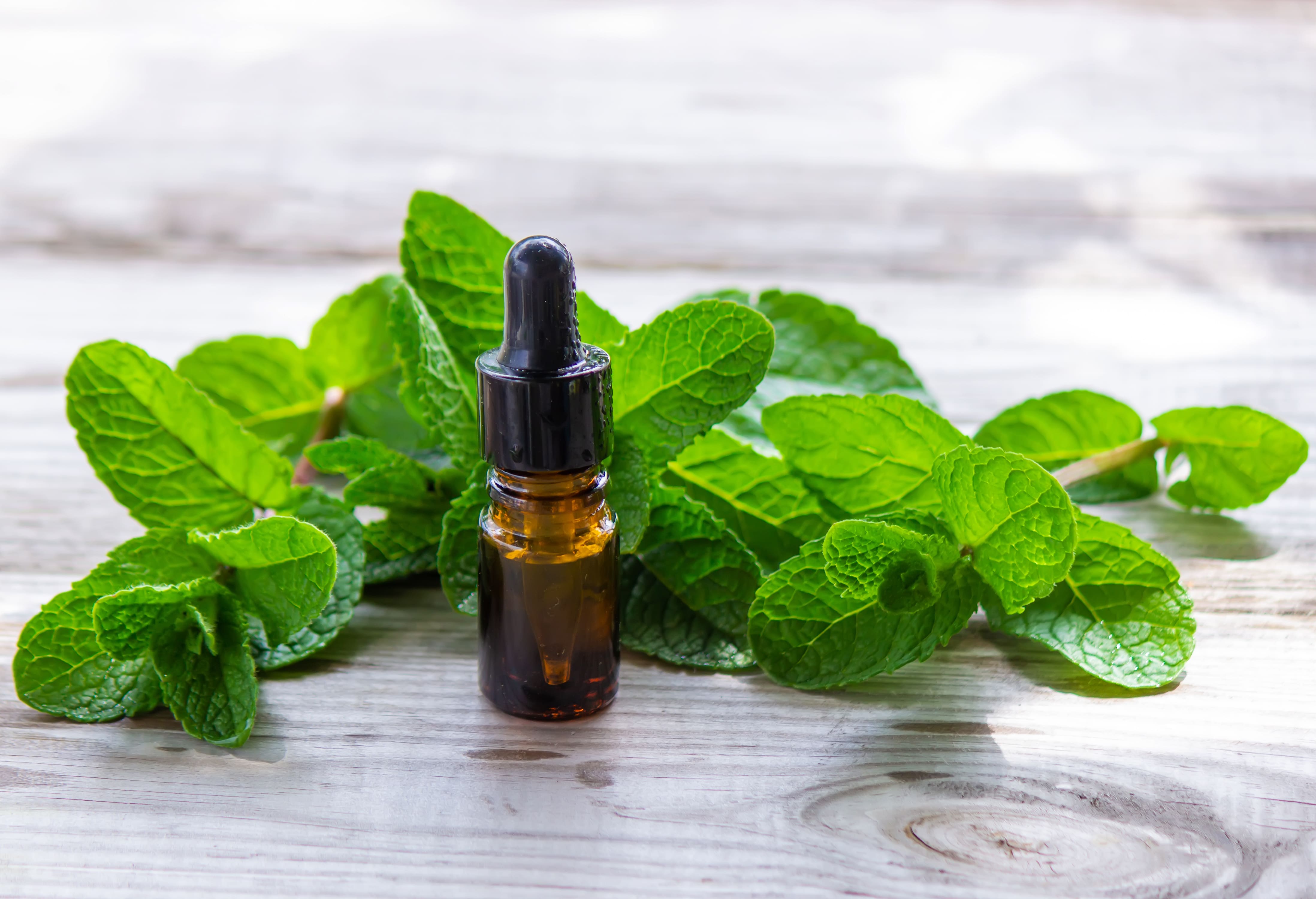 How To Dilute Peppermint Oil