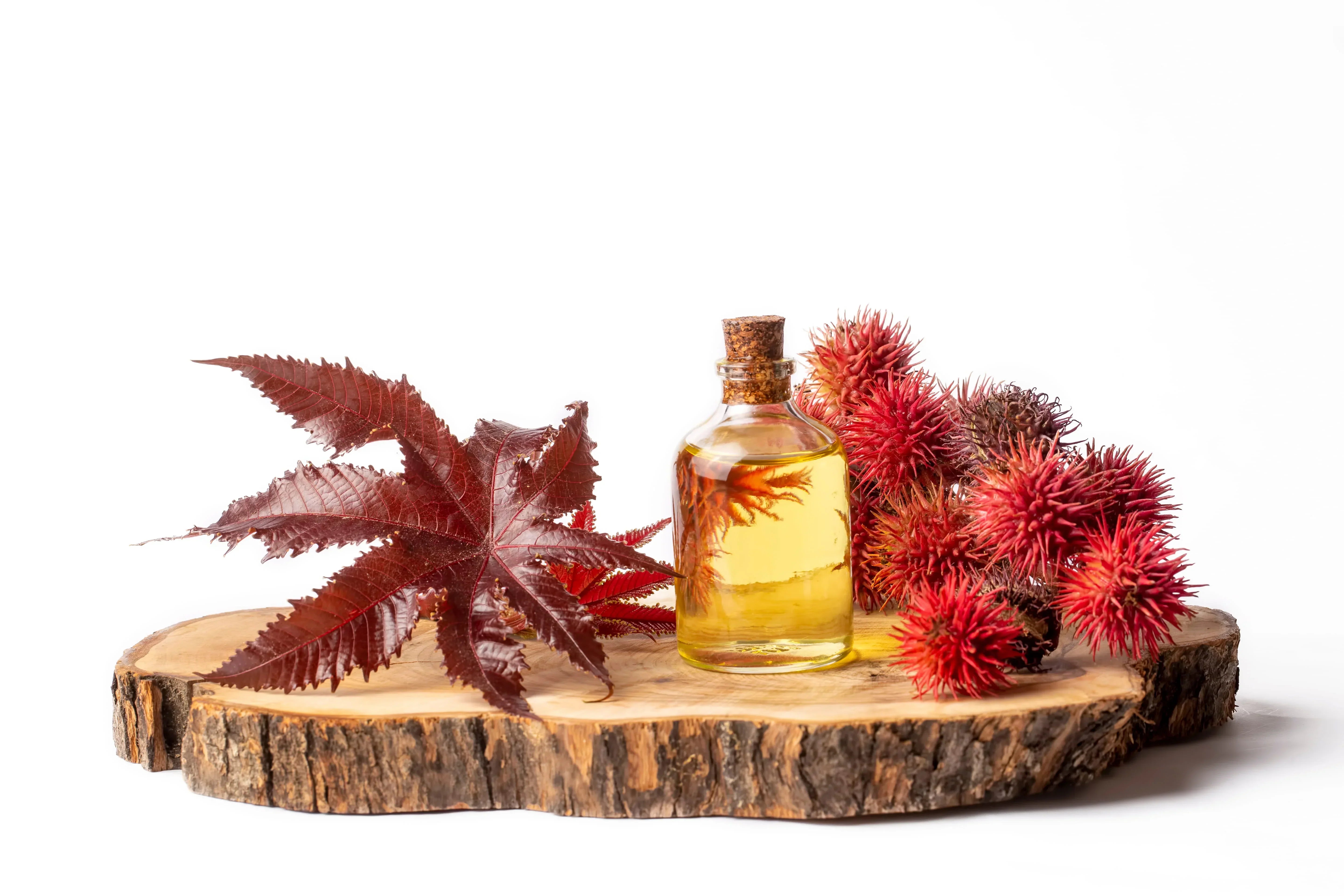 Castor Oil Packs and Belly Button Therapy for Detox and Pain Relief