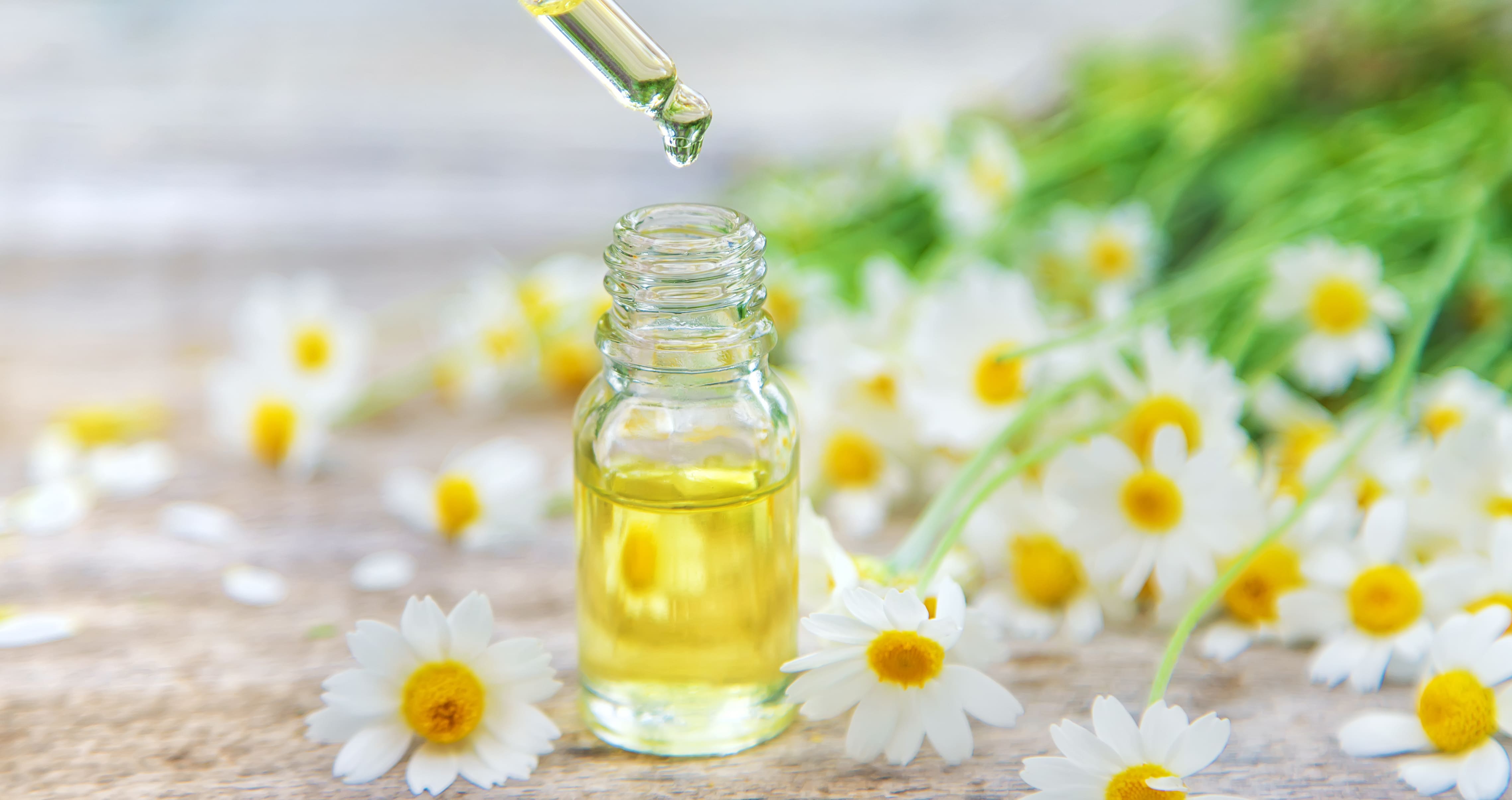 Blending with Roman Chamomile