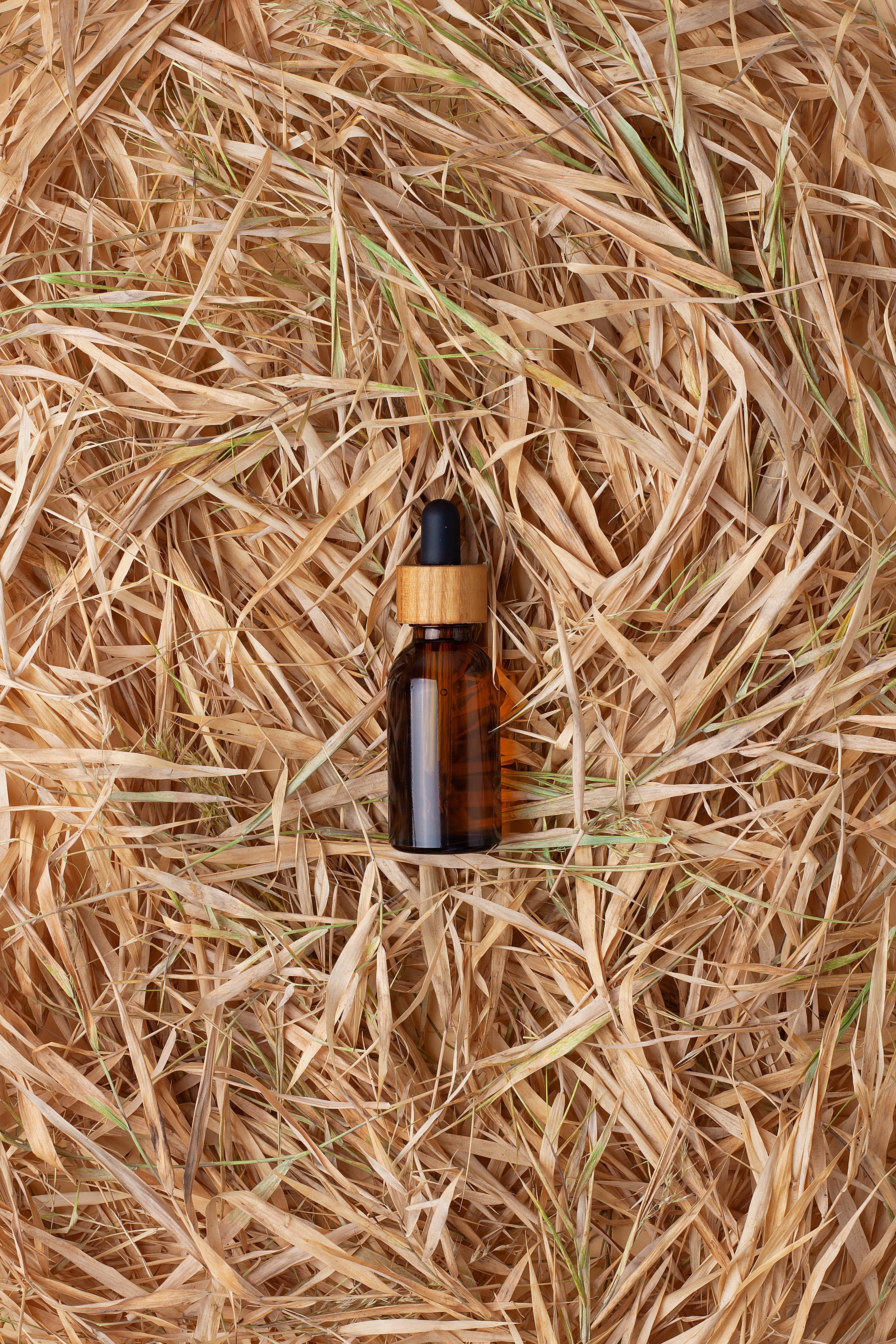 The Majesty of Vetiver Essential Oil