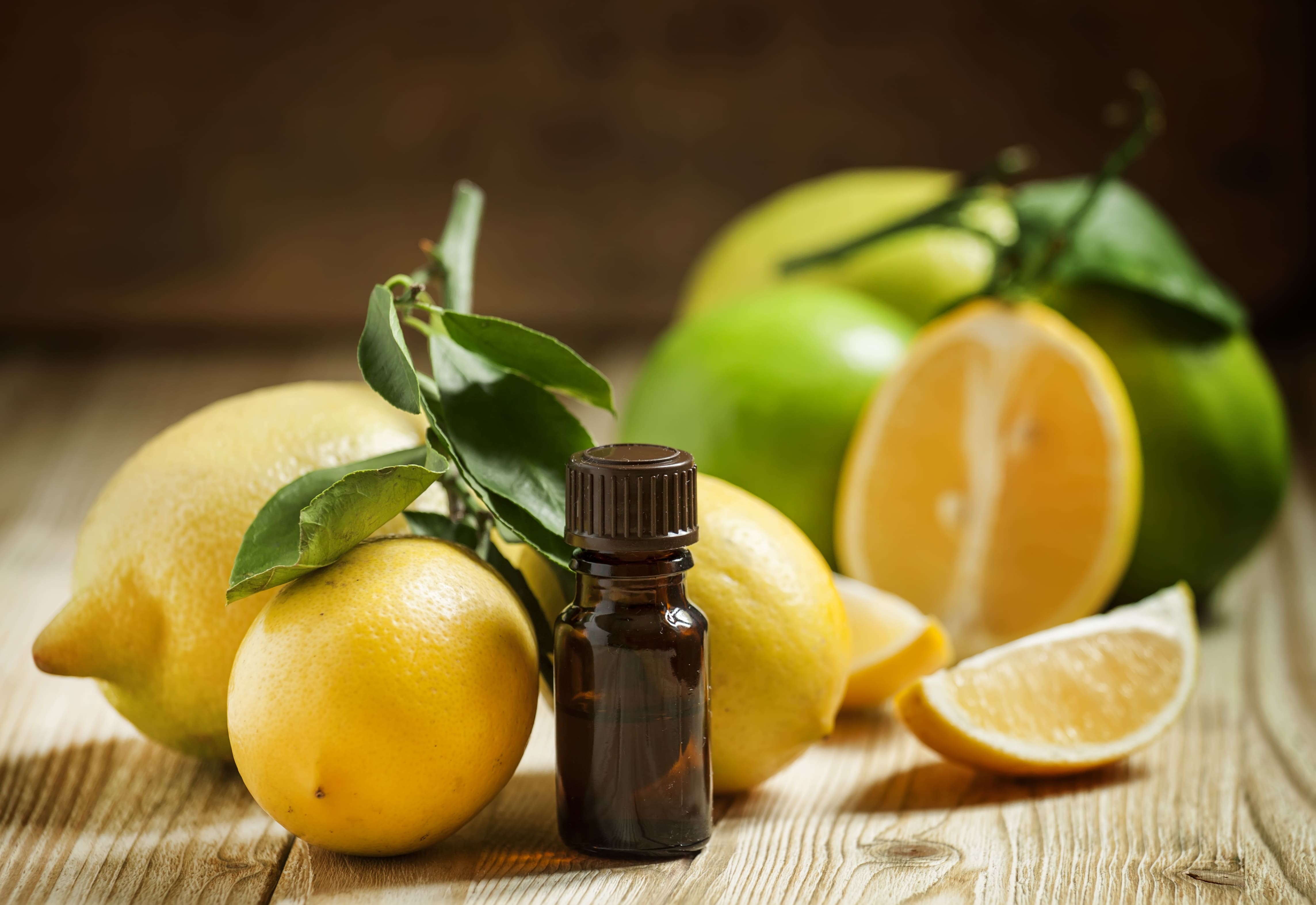 Is Lemon Essential Oil Safe for Cats?