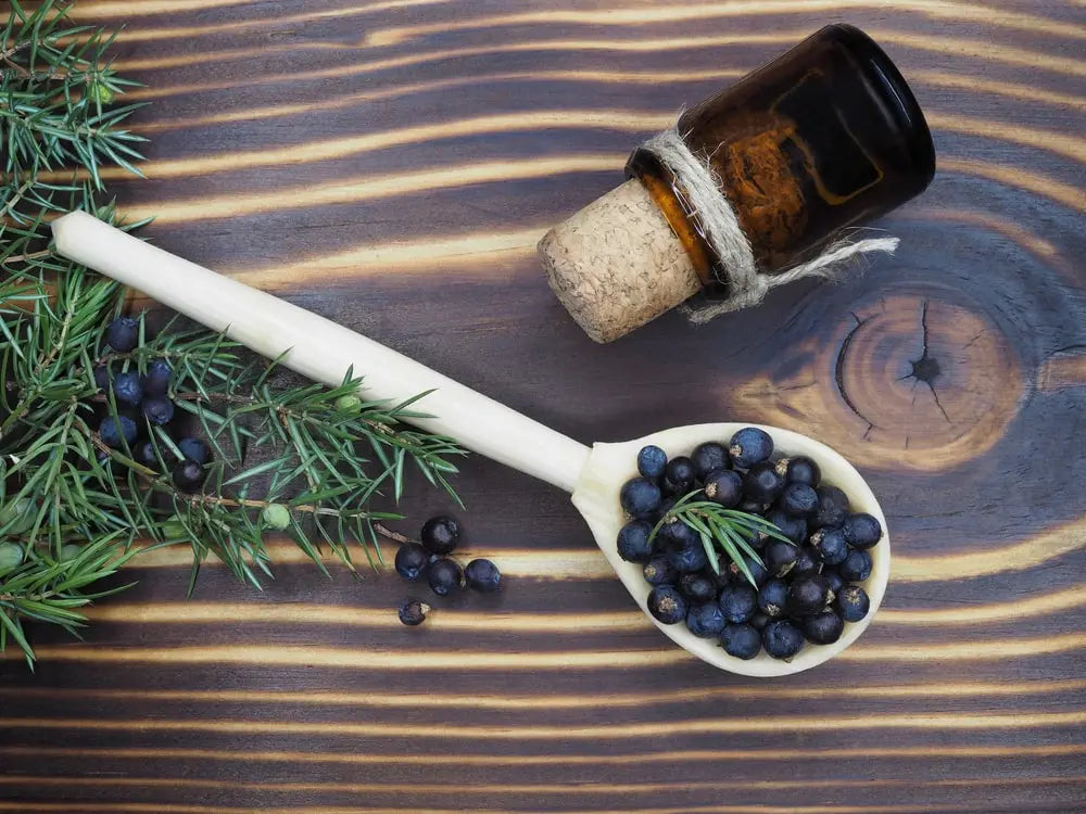 Harness the Power of Nature: Essential Oils for Optimal Kidney Function
