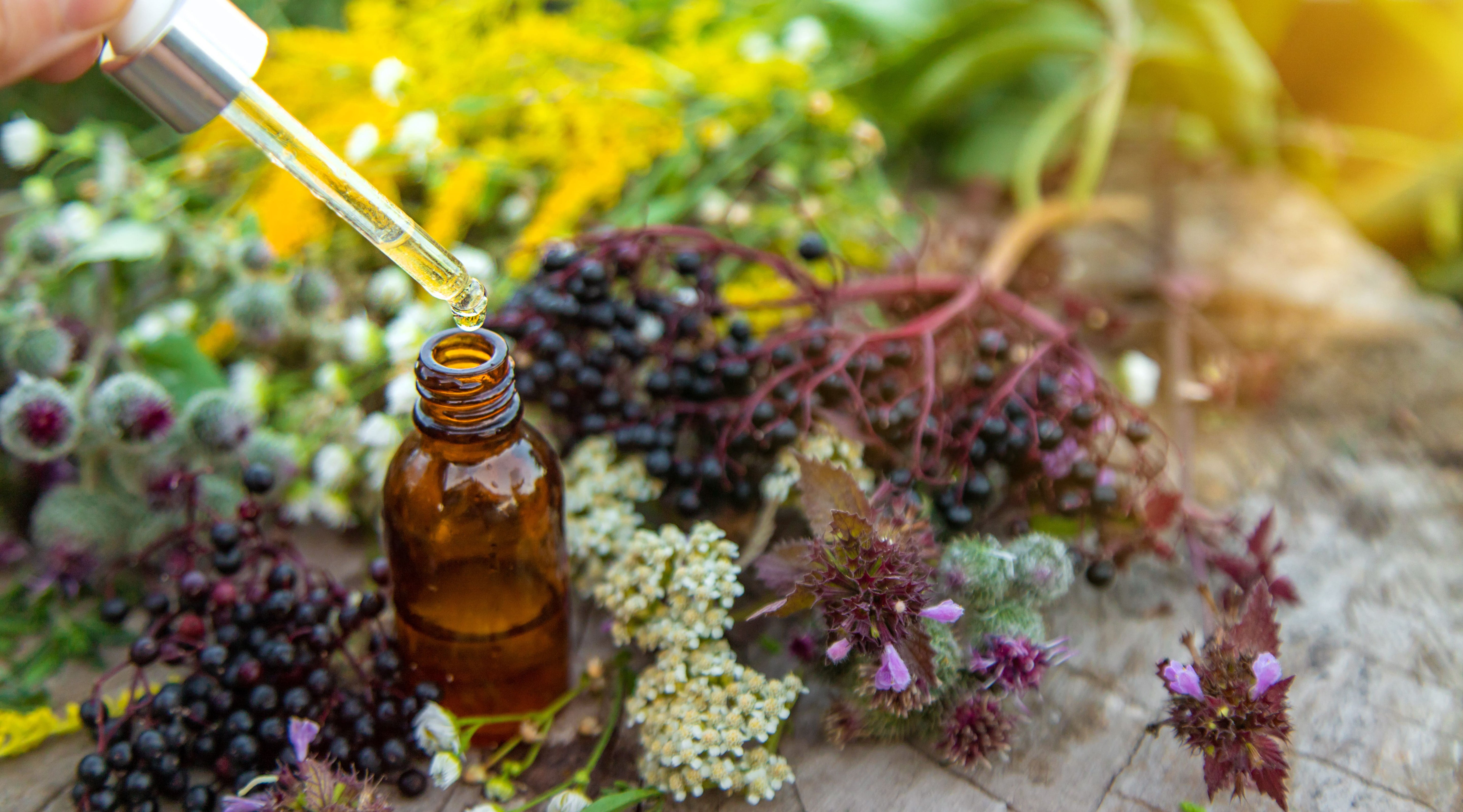 Harnessing Essential Oils for Blood Pressure Control