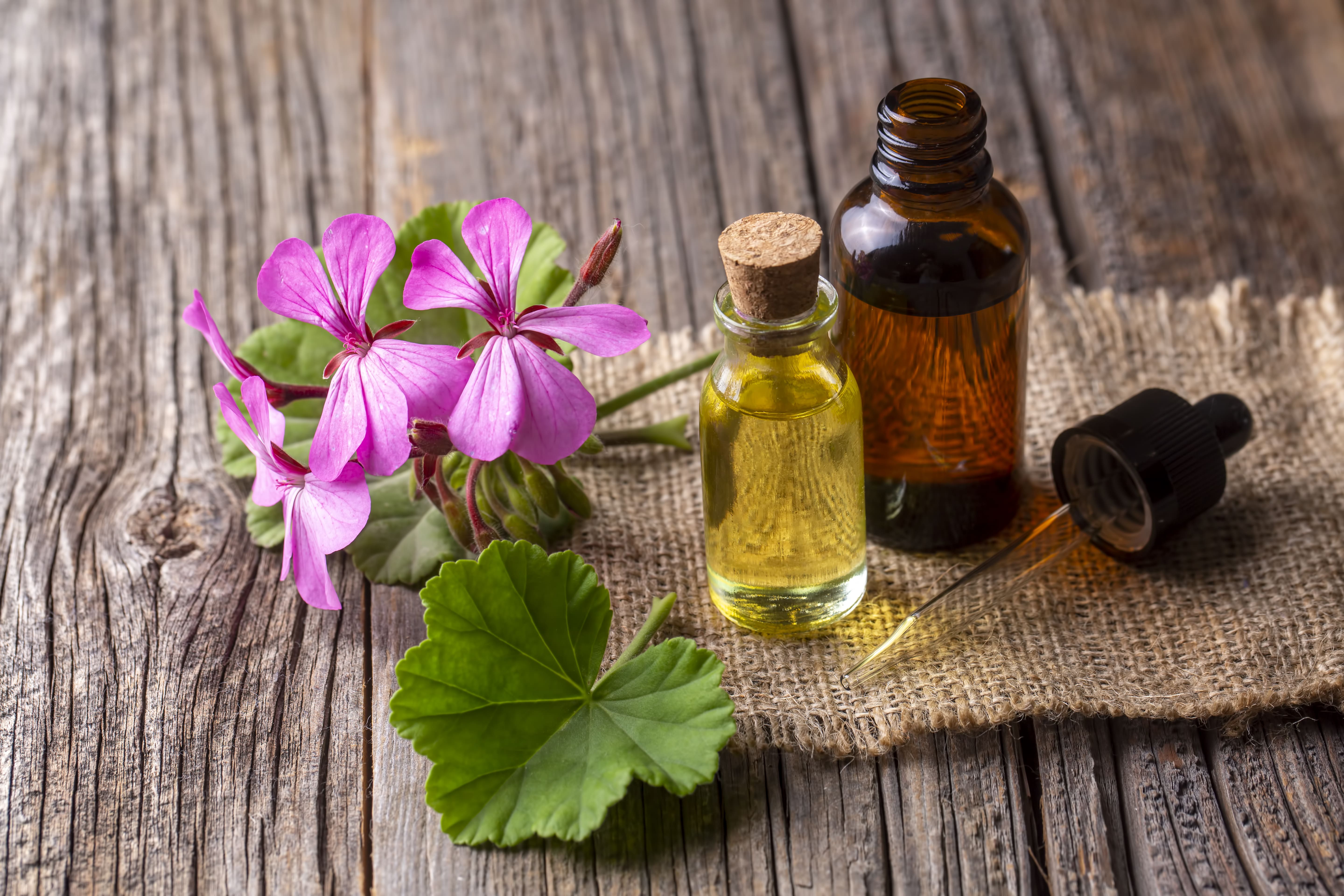 Rose Geranium Essential Oil