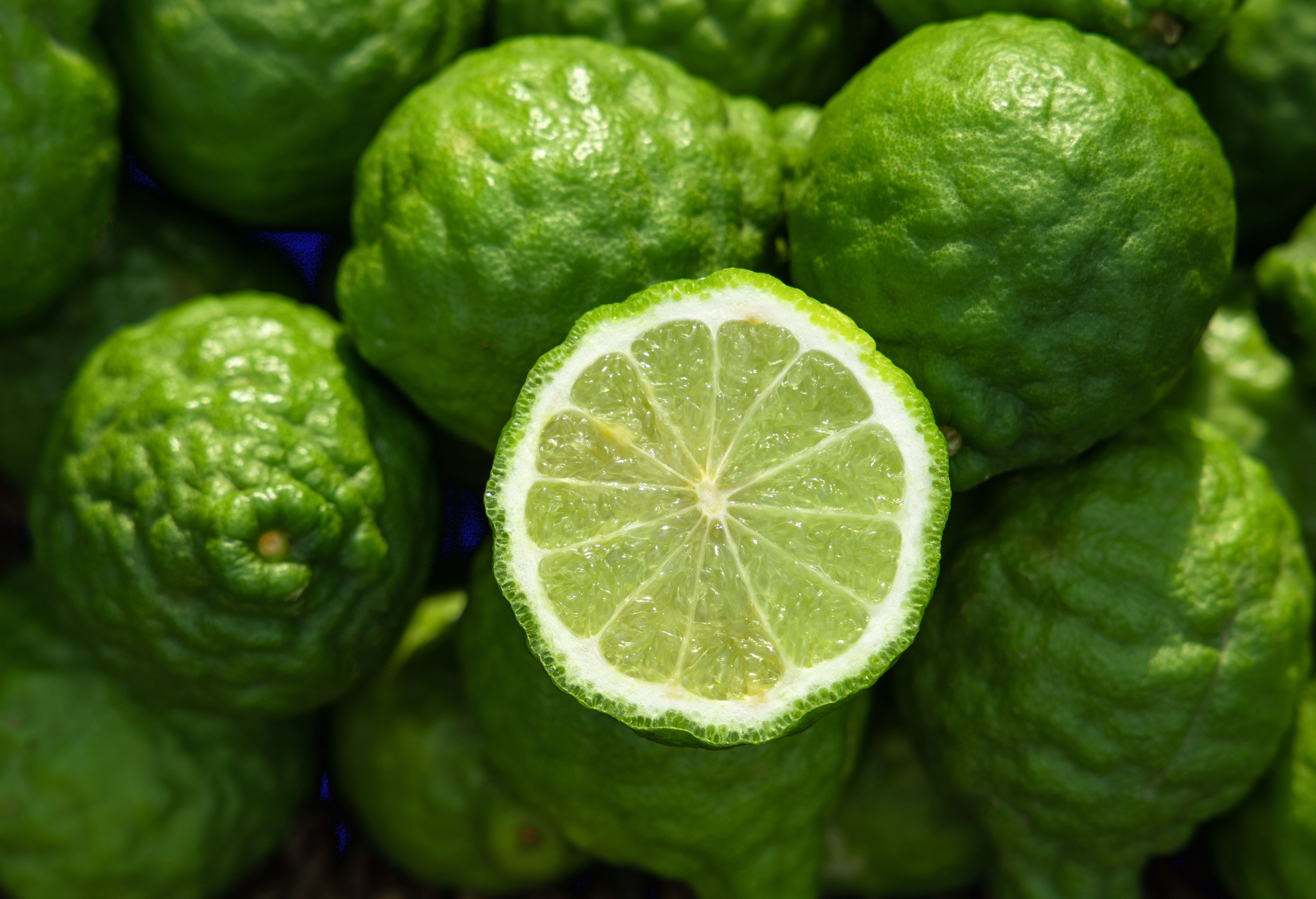Bergamot Essential Oil Blends