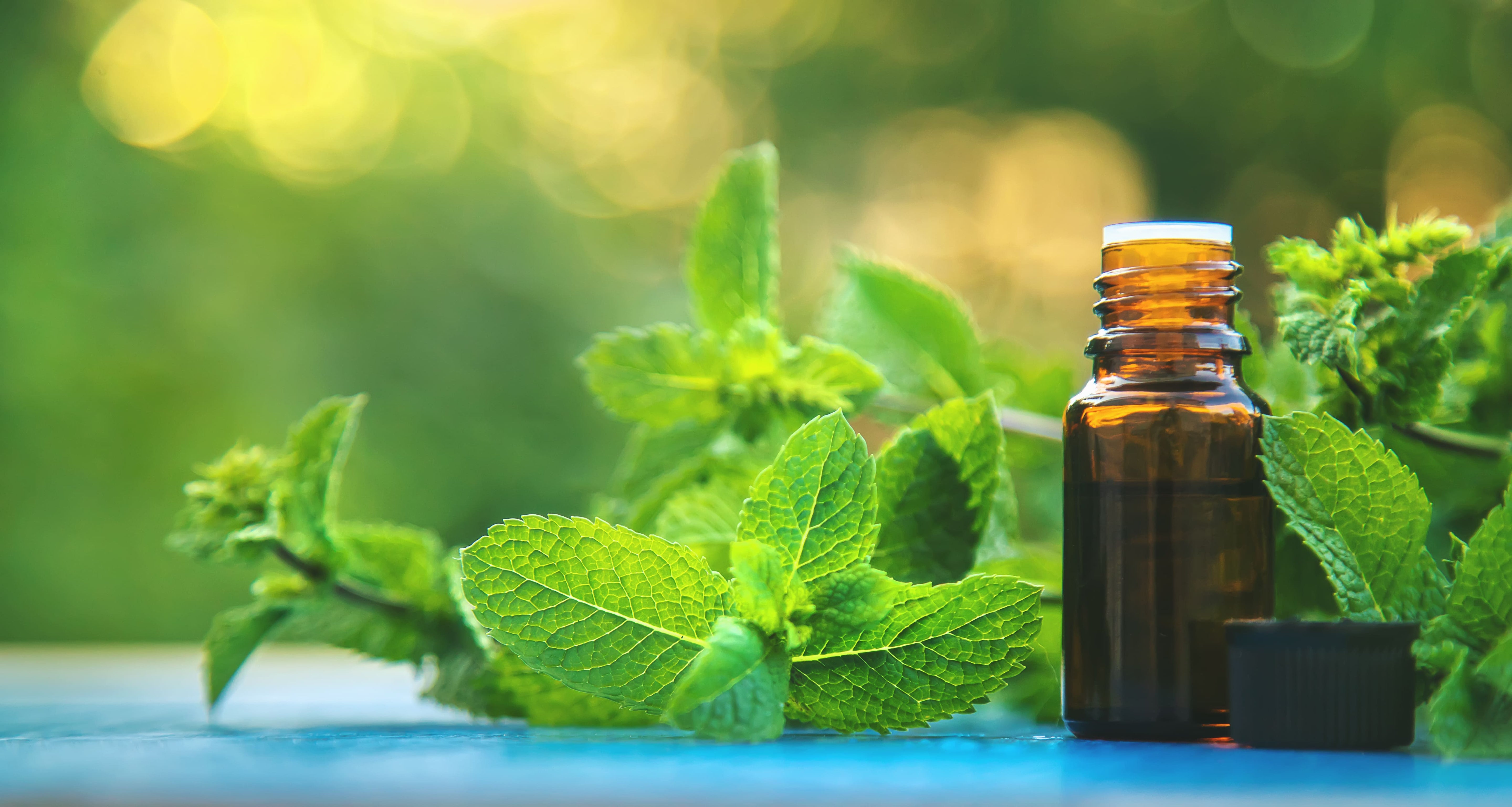 Blending with Peppermint