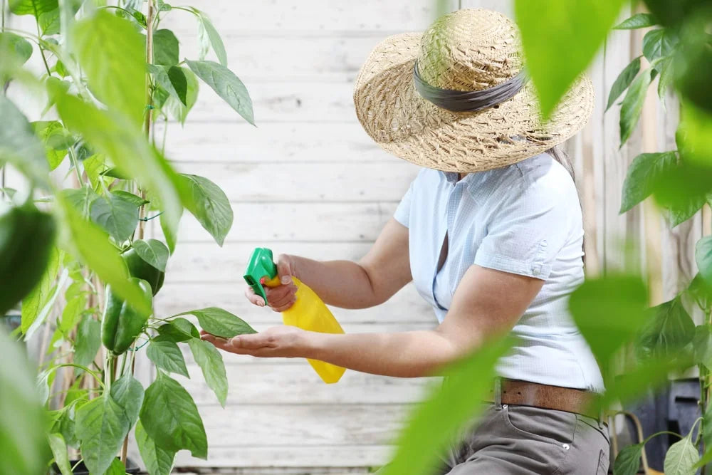 DIY Bug Spray: Natural Insect Repellents with Essential Oils