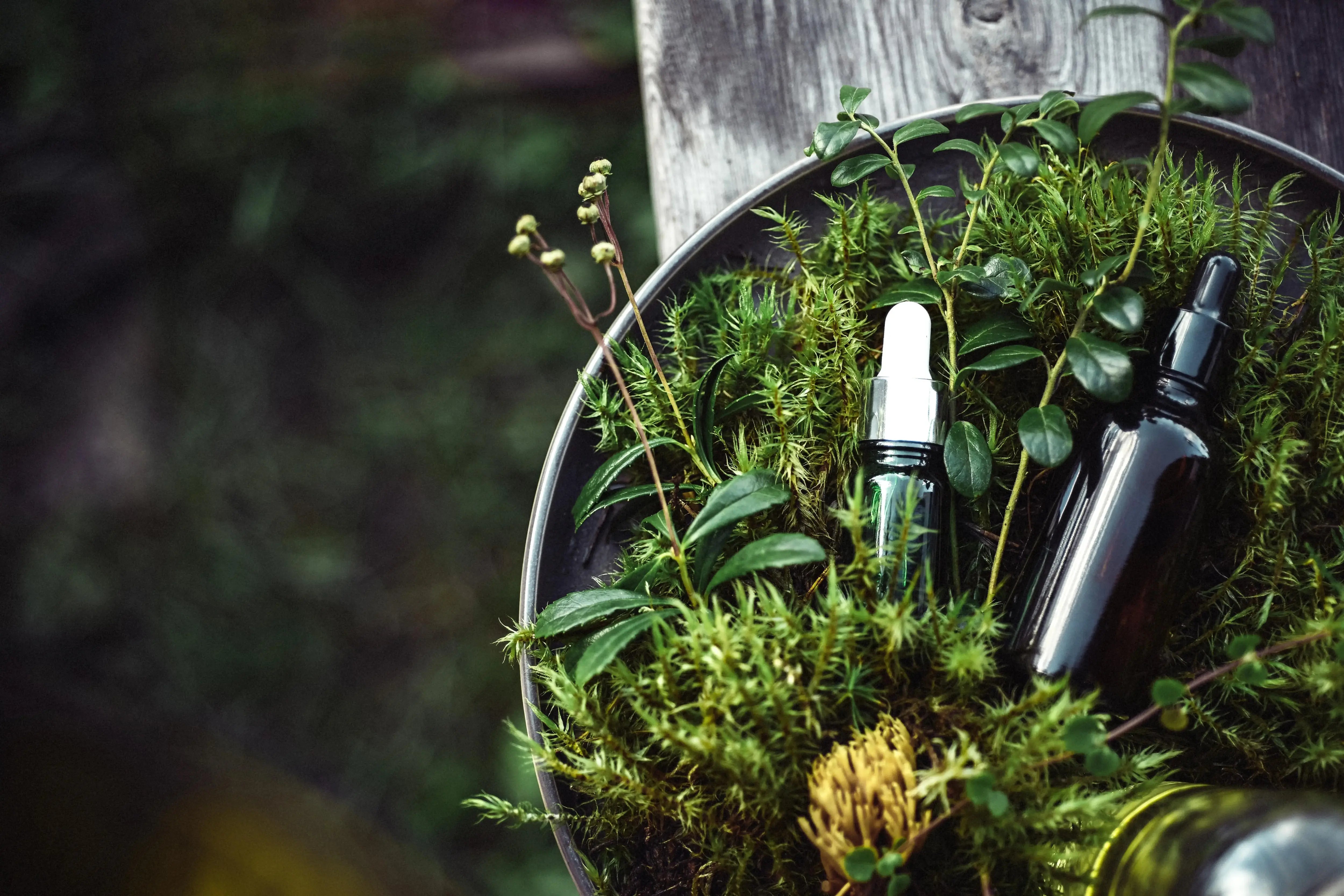 Natural skincare products with herbs and flowers on green background, representing homemade cosmetics made from foraged botanical ingredients.