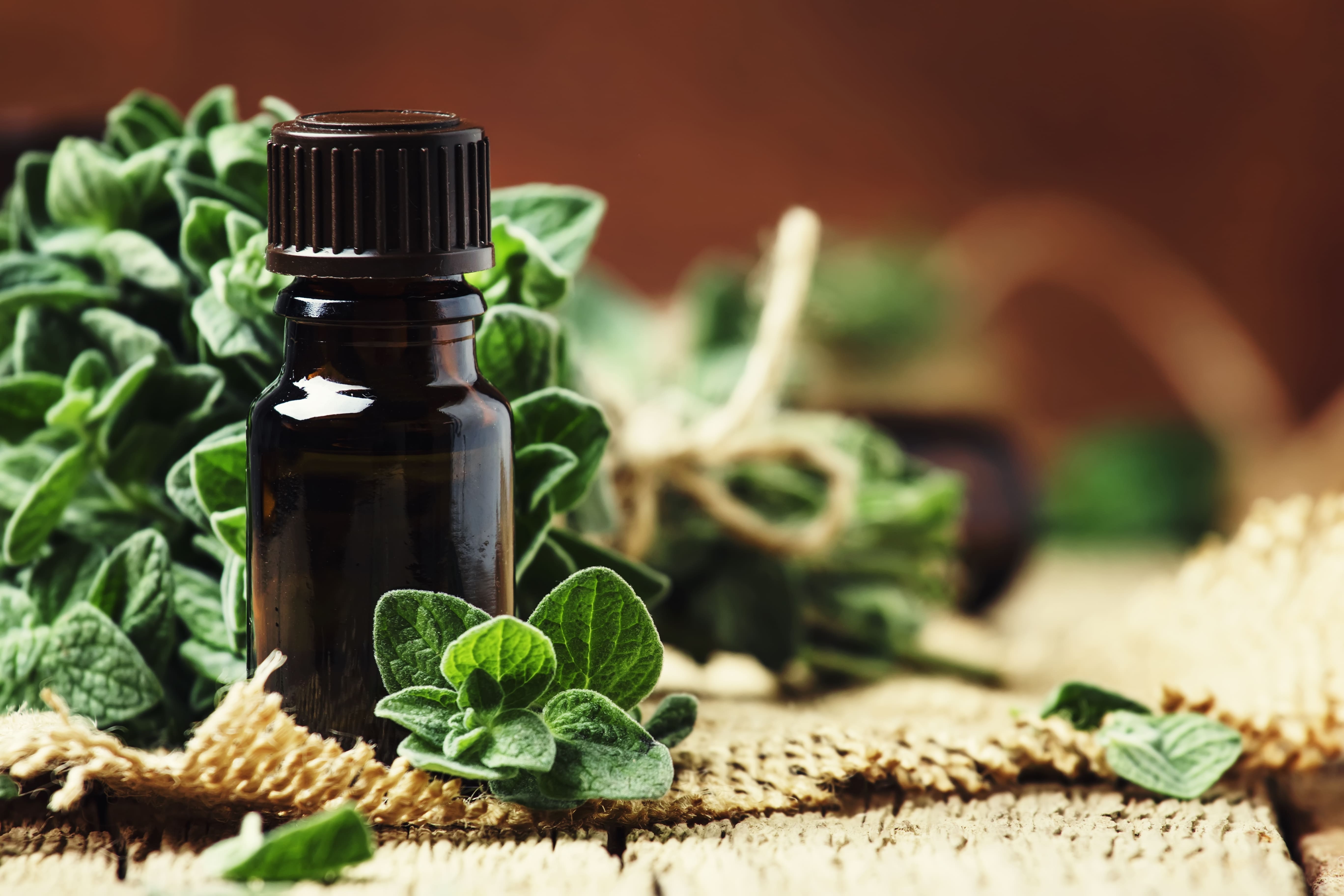 Does Oregano Oil Kill Good Bacteria?