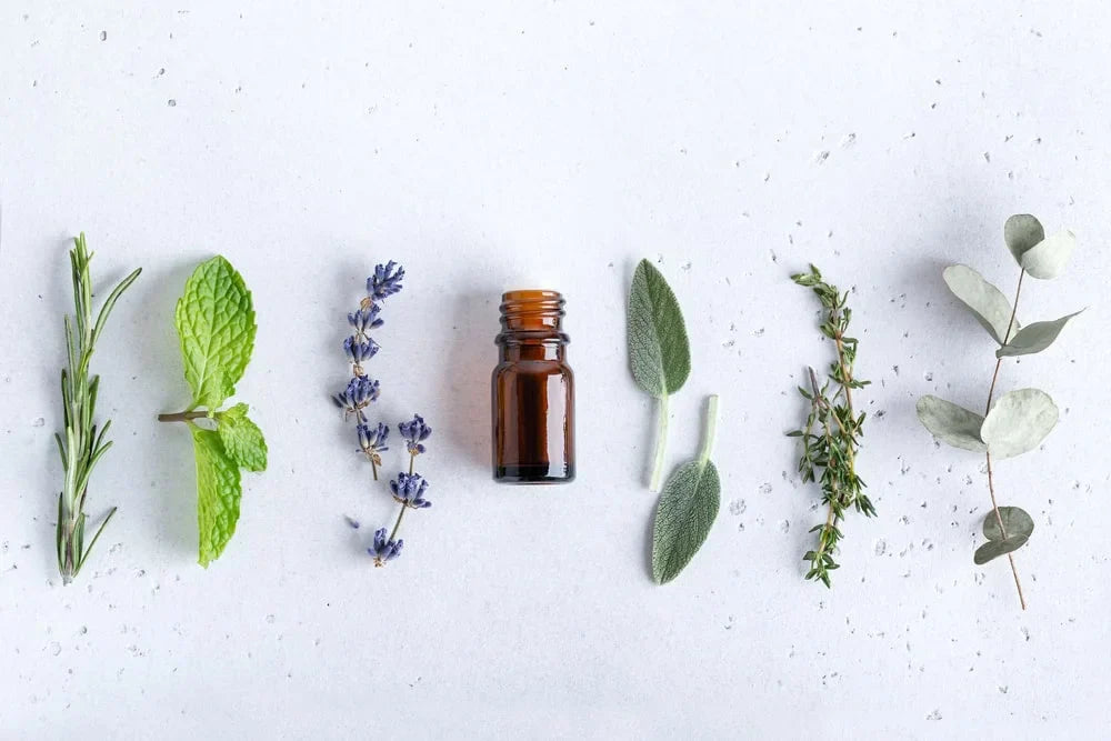 Our Version Of Eucalyptus Spearmint By BBW Fragrance Oil Of The Week