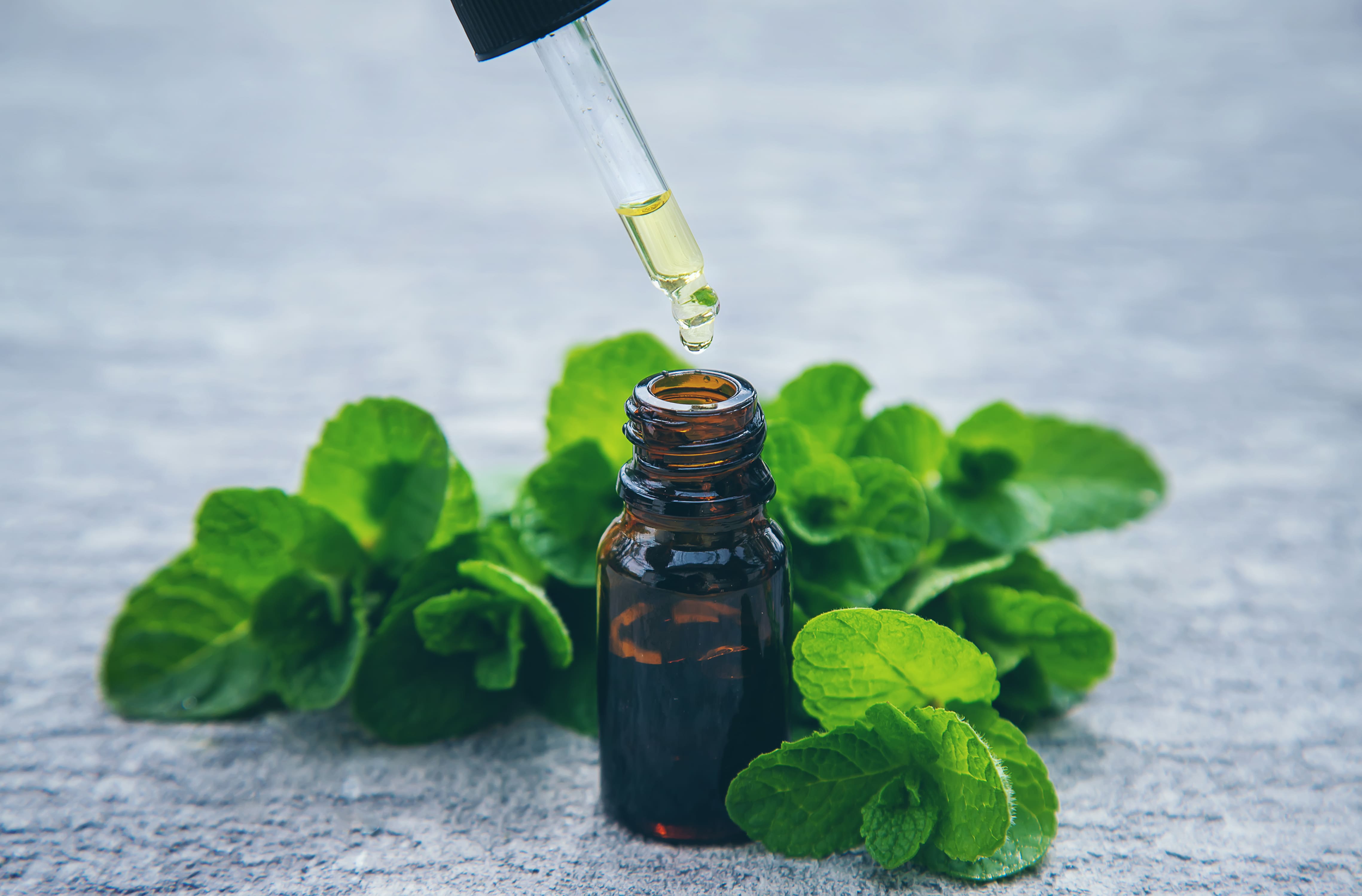 Does Peppermint Essential Oil Repel Mosquitoes?