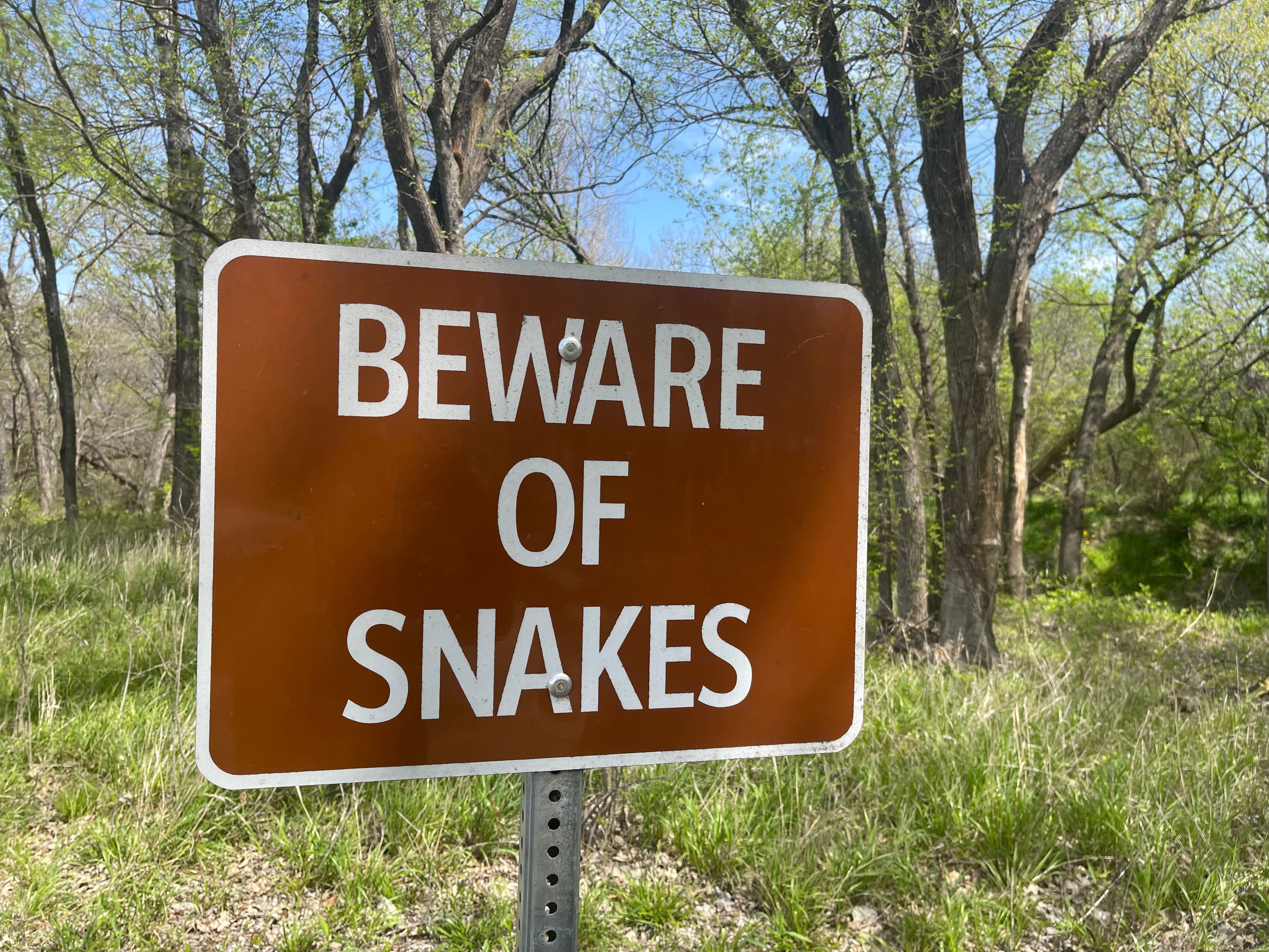 The Best Snake Repellent You Can Find, Based on the Experts