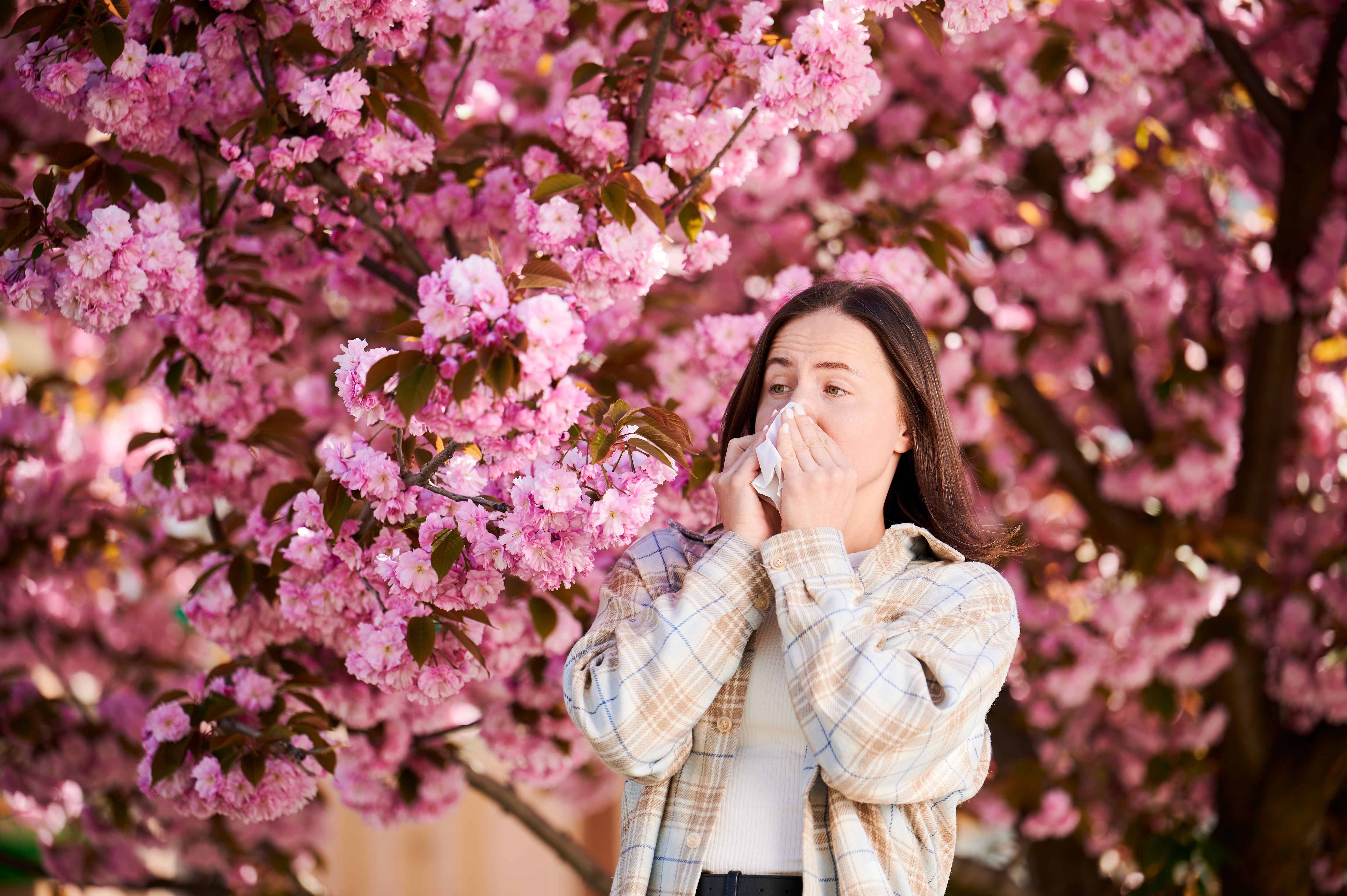 9 Best Essential Oils for Allergies: No More Sneezing