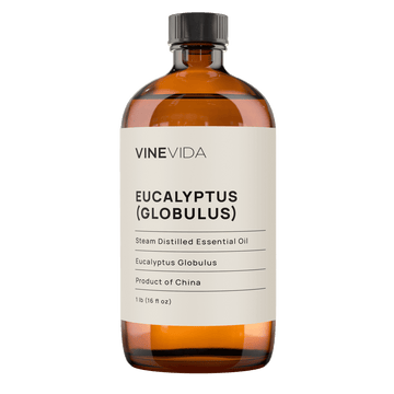Eucalyptus (Globulus) Essential Oil