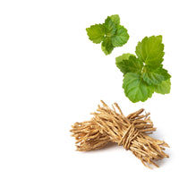 NO. 1200 Fragrance Oil for Cold Air Diffusers - Inspired by: Ambre by Diptyque