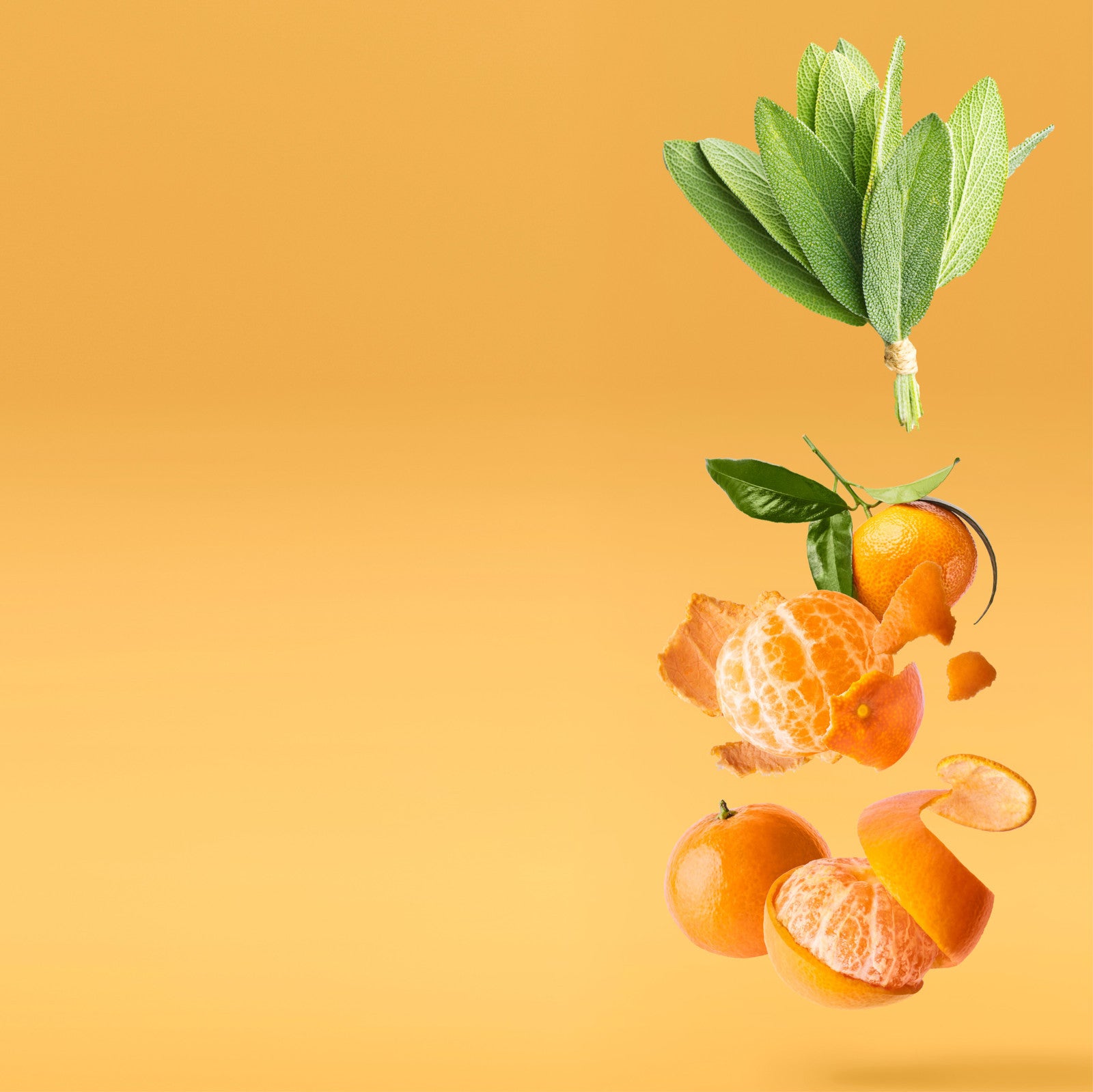 NO. 2100 Fragrance Oil for Soaps & Candles - Inspired by: Breakline by Hollister