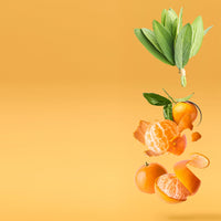 NO. 2100 Fragrance Oil for Cold Air Diffusers - Inspired by: Breakline by Hollister