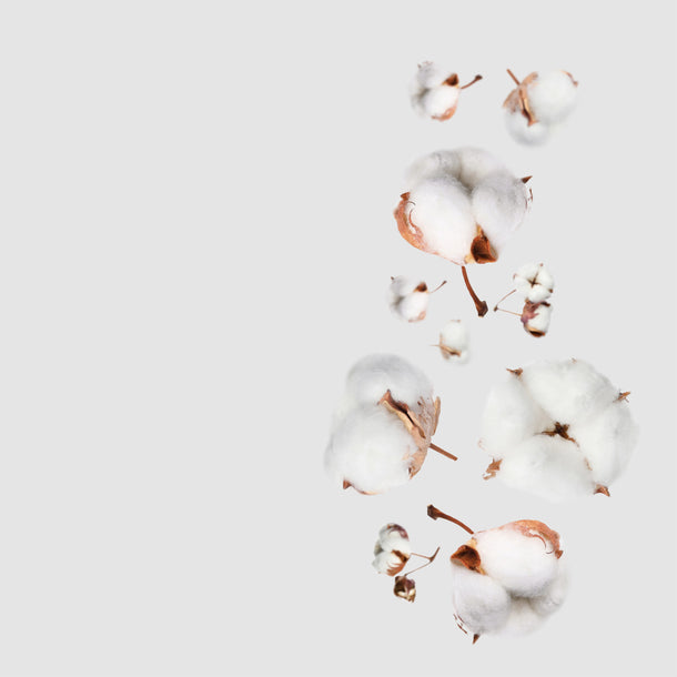 NO. 25 Fragrance Oil for Soaps & Candles - Clean Cotton