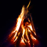 NO. 1203 Fragrance Oil for Soaps & Candles - Inspired by: Feu de Bois by Diptyque