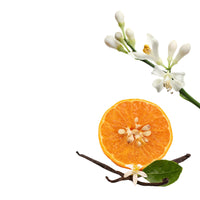 NO. 1005 Fragrance Oil for Soaps & Candles - Inspired by: Skyfall & Atlantis Hotel