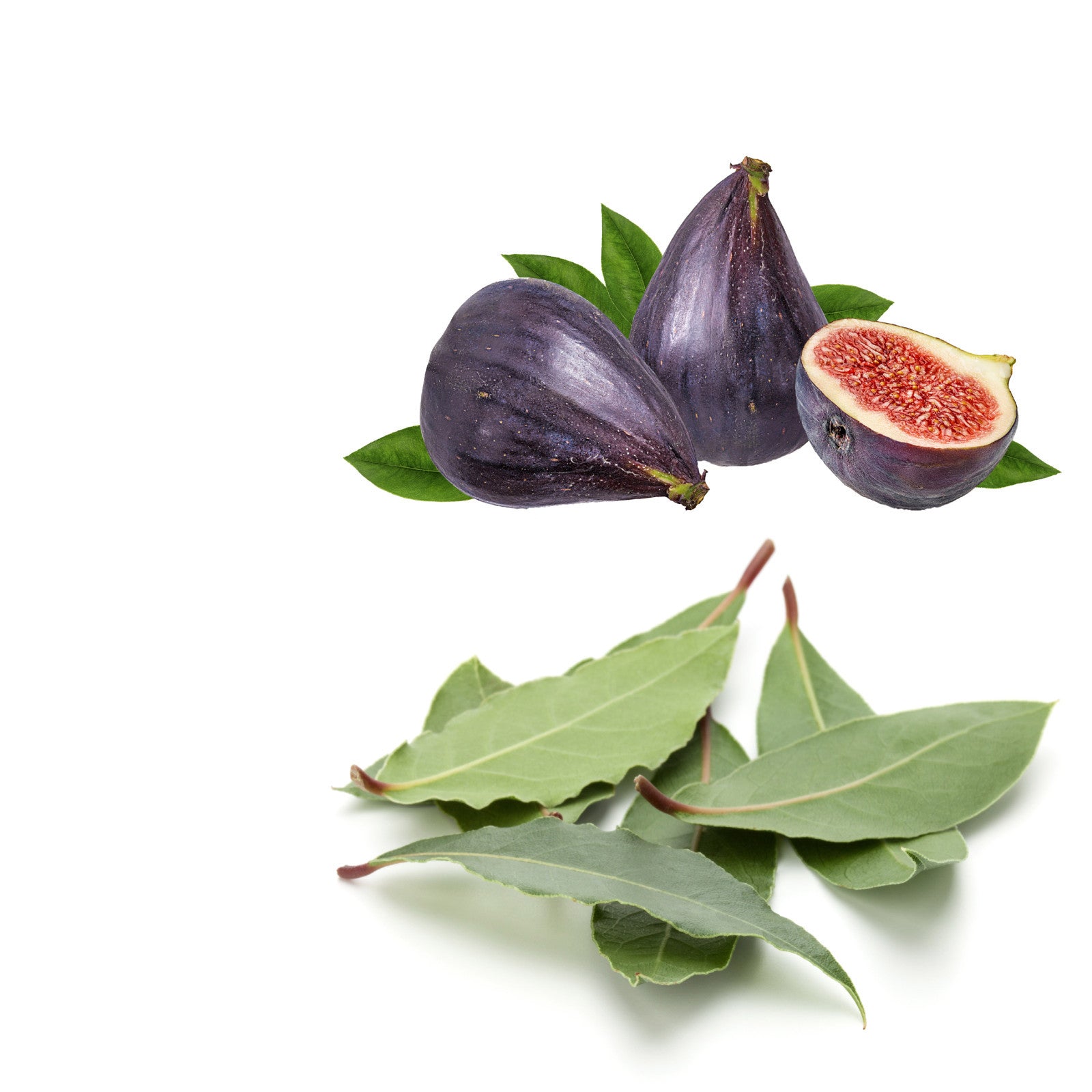 NO. 1305 Fragrance Oil for Cold Air Diffusers - Inspired by: Thé Noir 29 by Le Labo