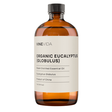 Organic Eucalyptus (Globulus) Essential Oil