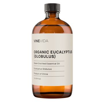 Organic Eucalyptus (Globulus) Essential Oil