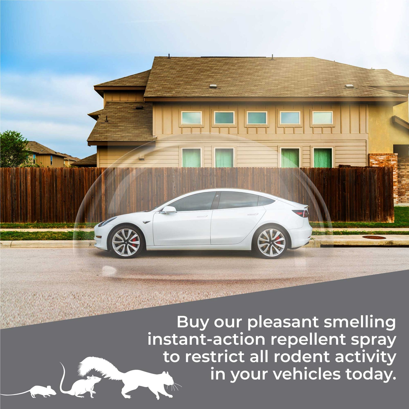 Rodent Repellent (Vehicle Protection)