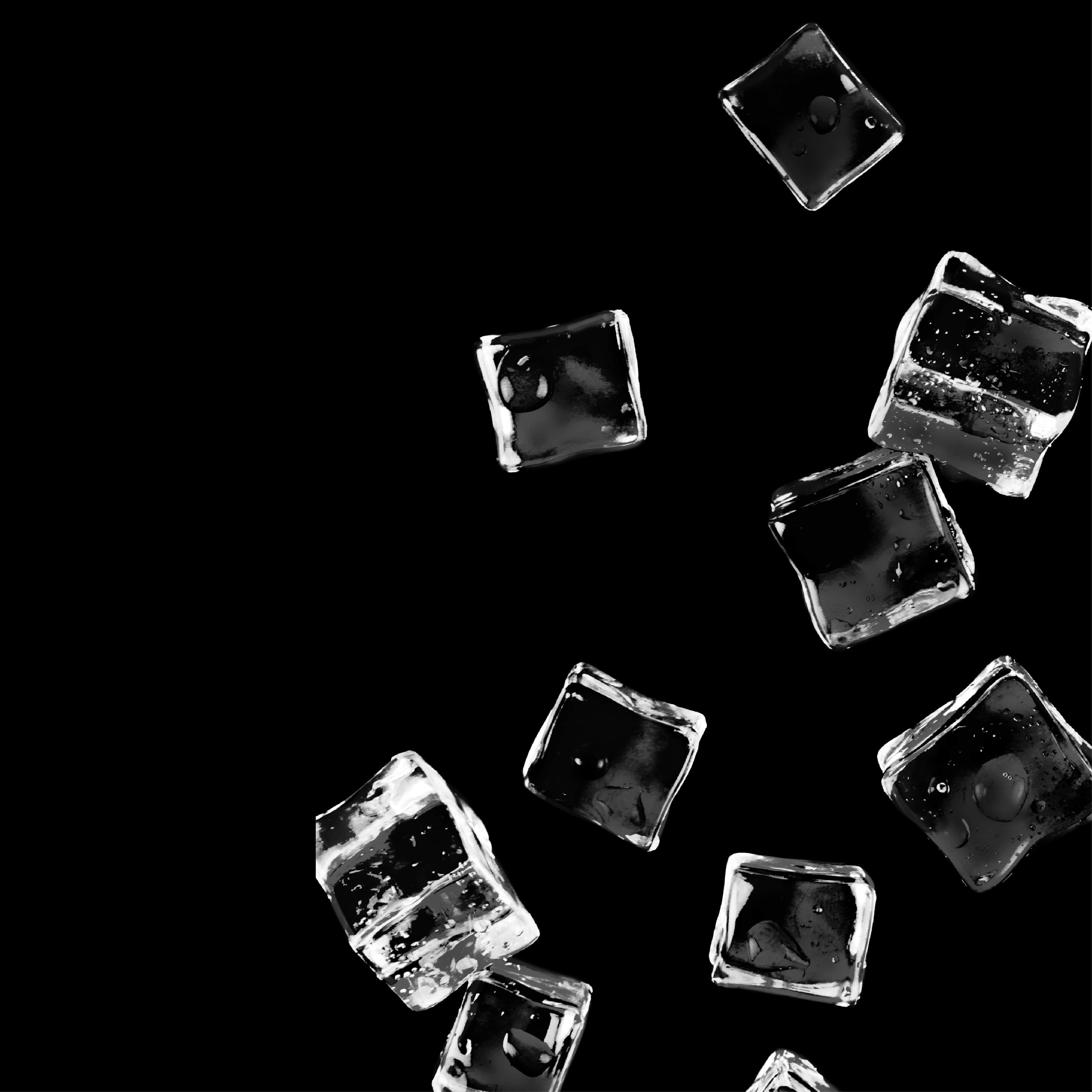 NO. 10 Fragrance Oil for Soaps & Candles - Lush Ice