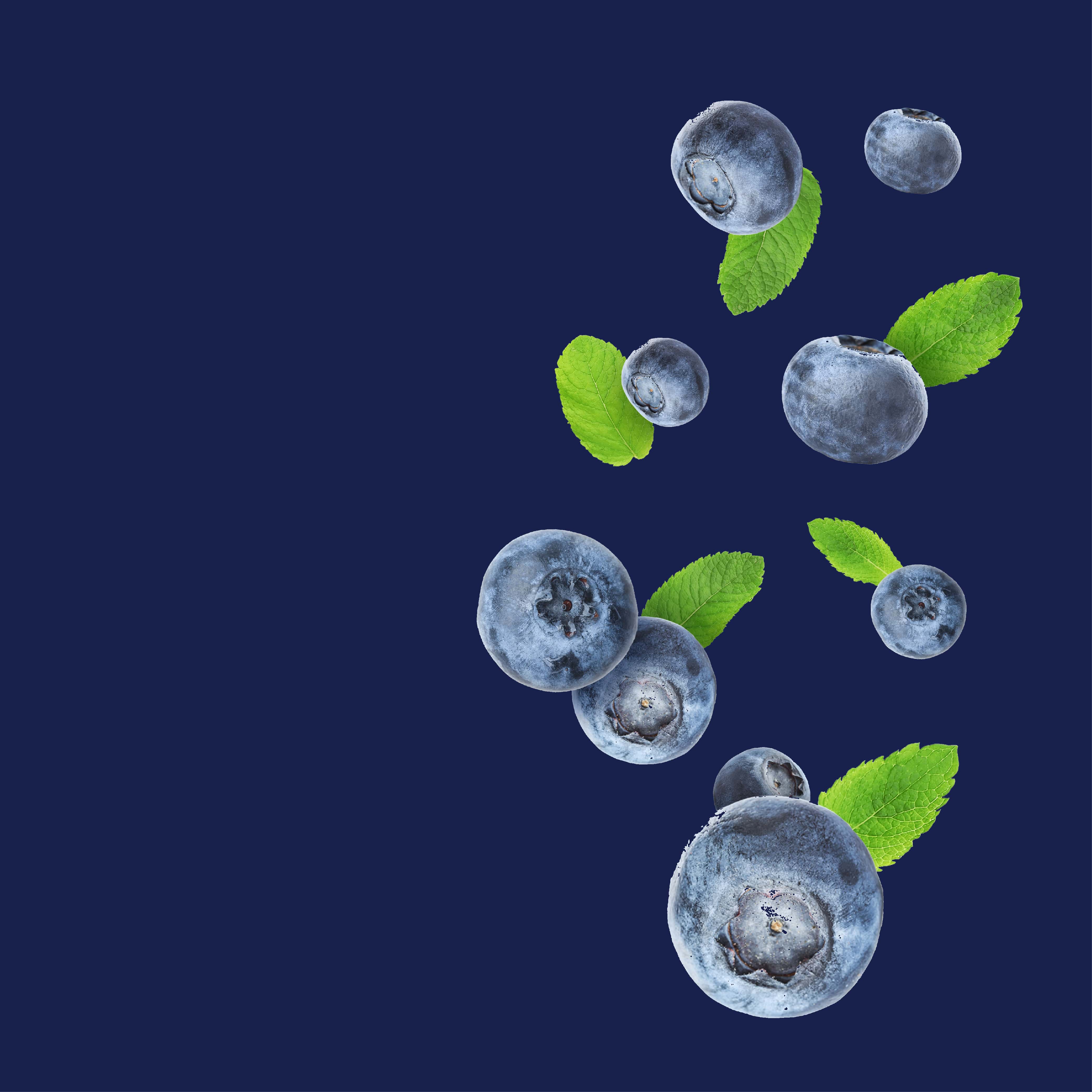 NO. 13 Fragrance Oil for Cold Air Diffusers - Blueberry Cobbler