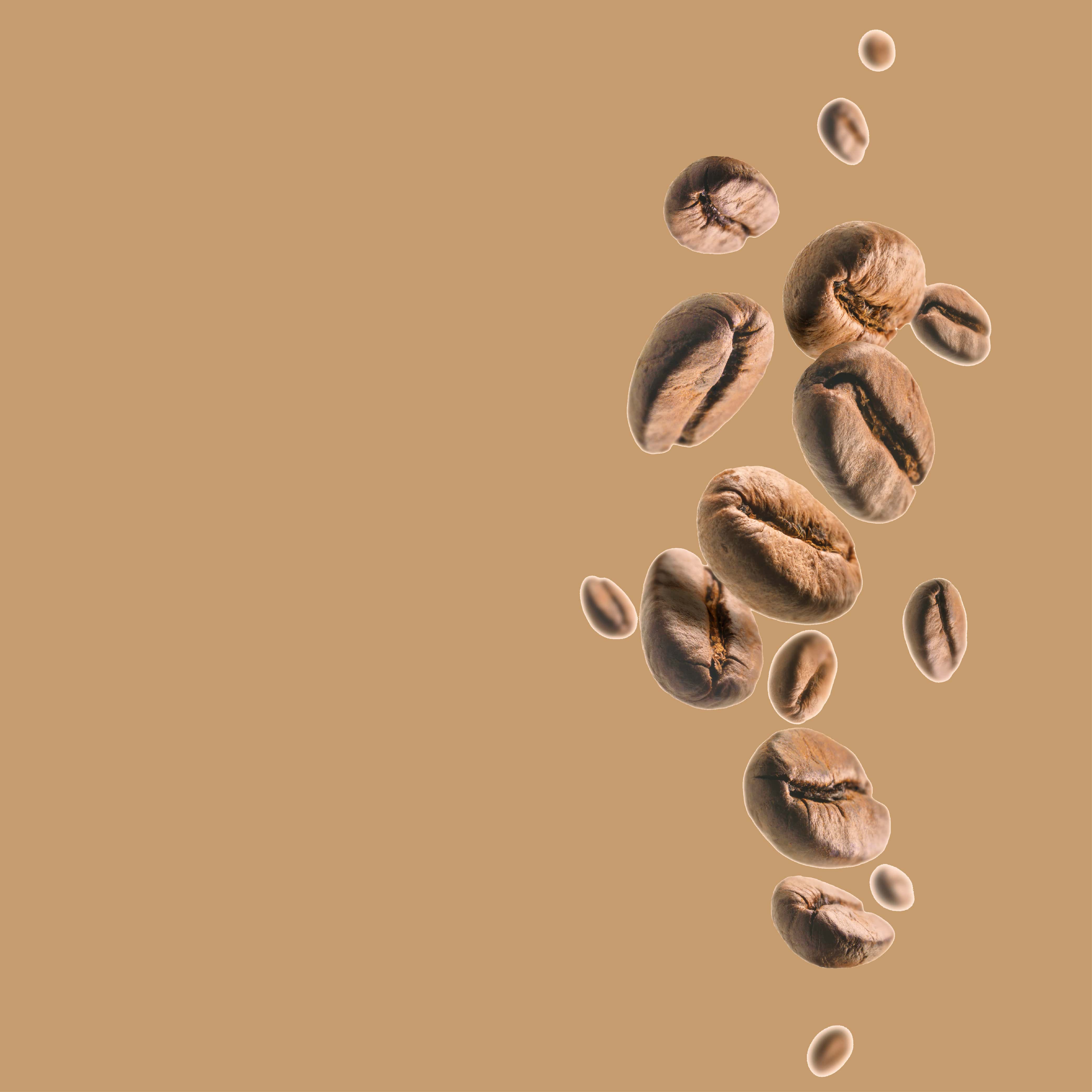 NO. 28 Fragrance Oil for Cold Air Diffusers - Coffee Latte